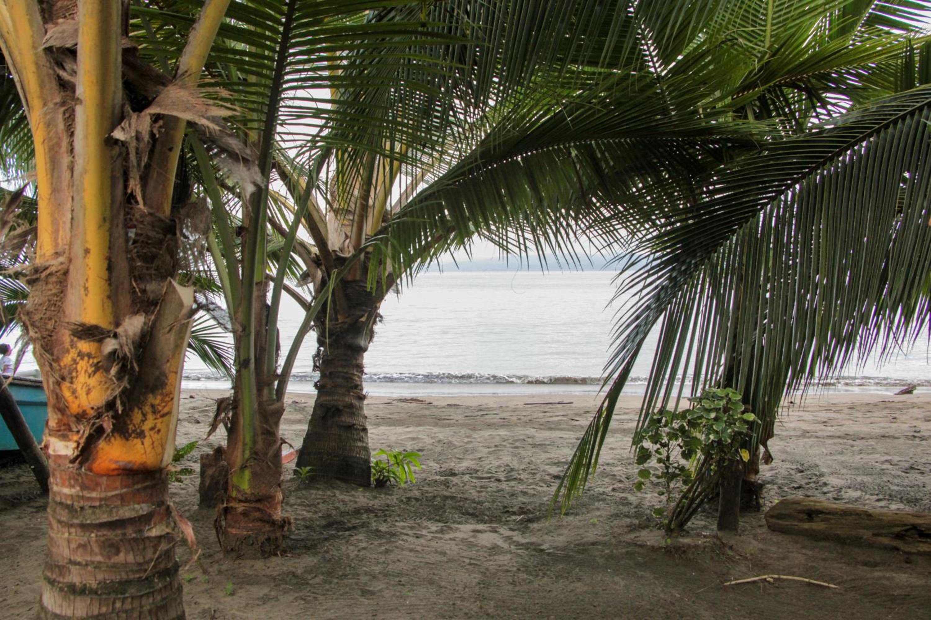 Posada Las Palmera Huina