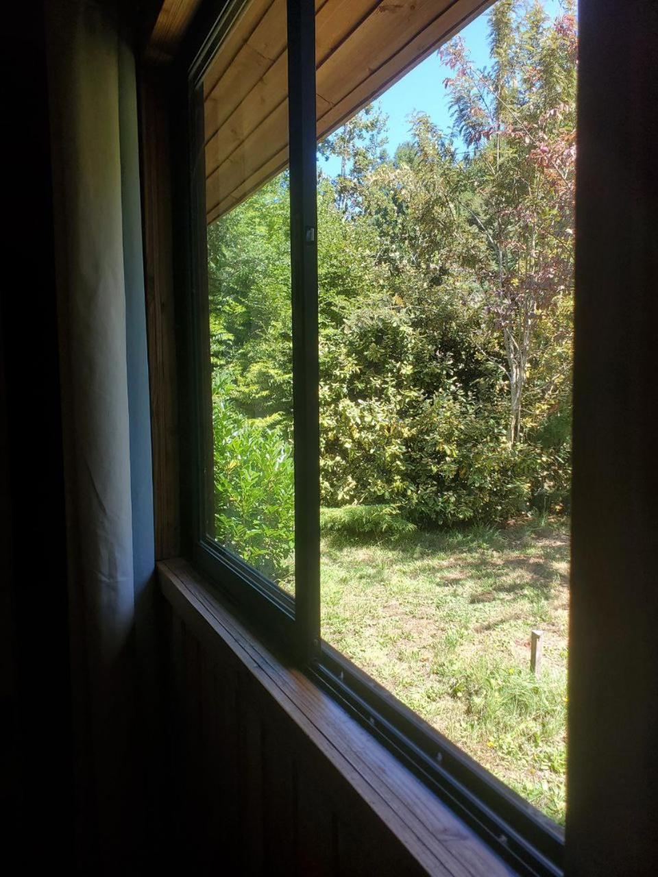 Cabaña en las afueras de Panguipulli