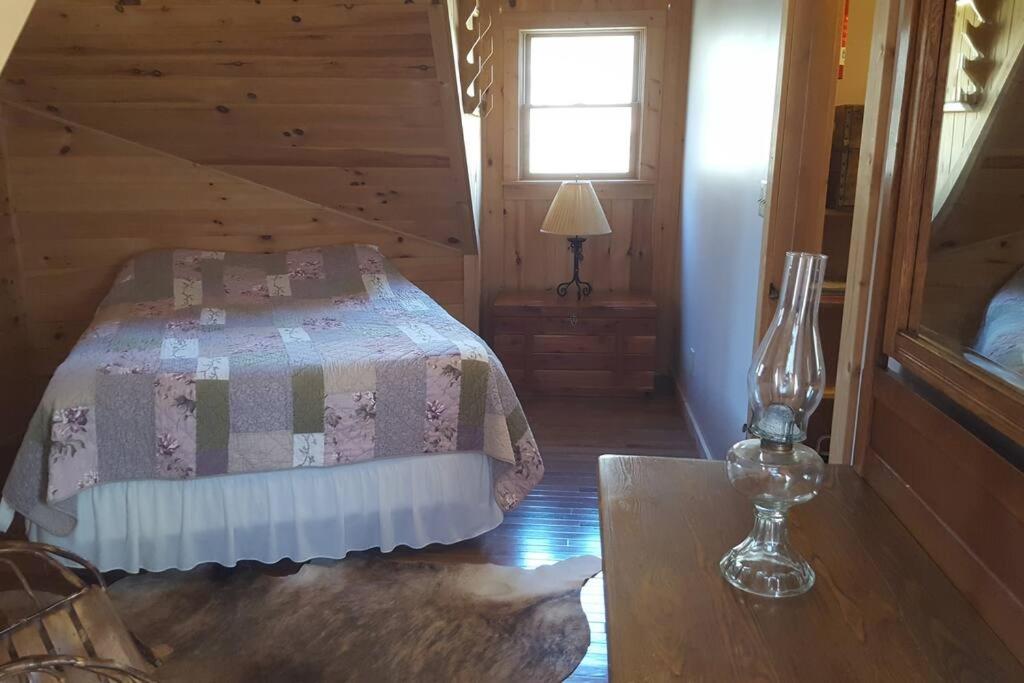 Mohican area secluded 2 bedroom cabin view 5
