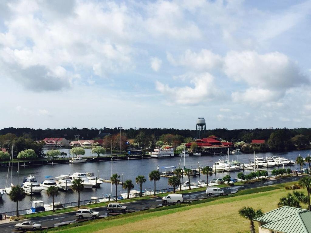 Huge 15000sf Pool Modern Studio at Barefoot Resort view 5