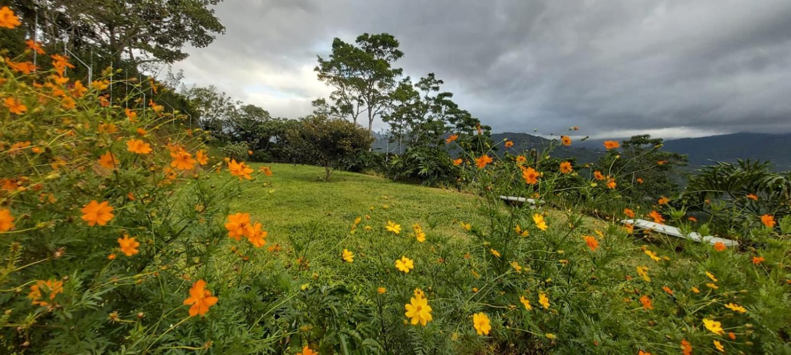 Cabaña Vista de Oro 1