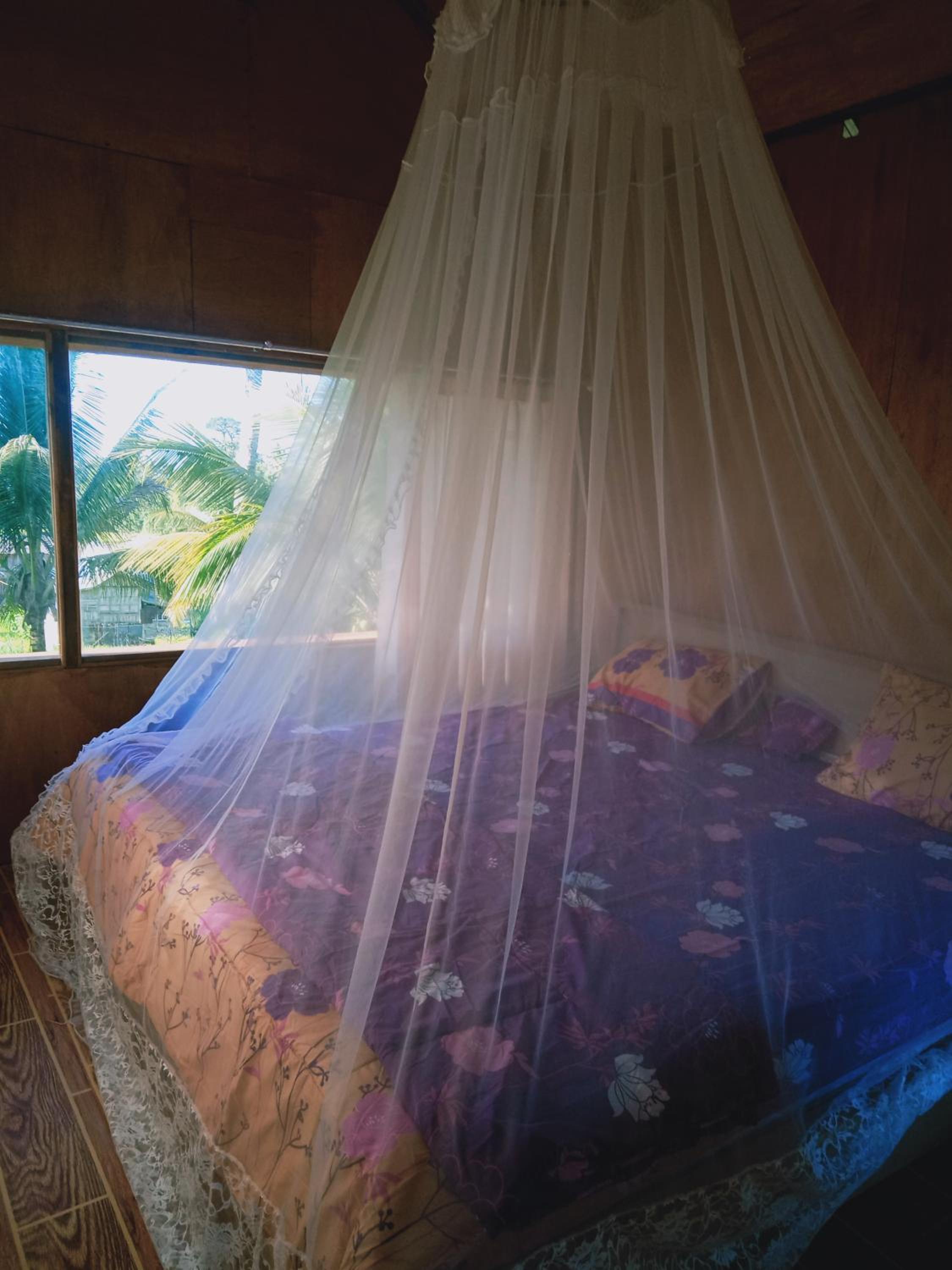 Coconut Homestay Tetebatu view 5