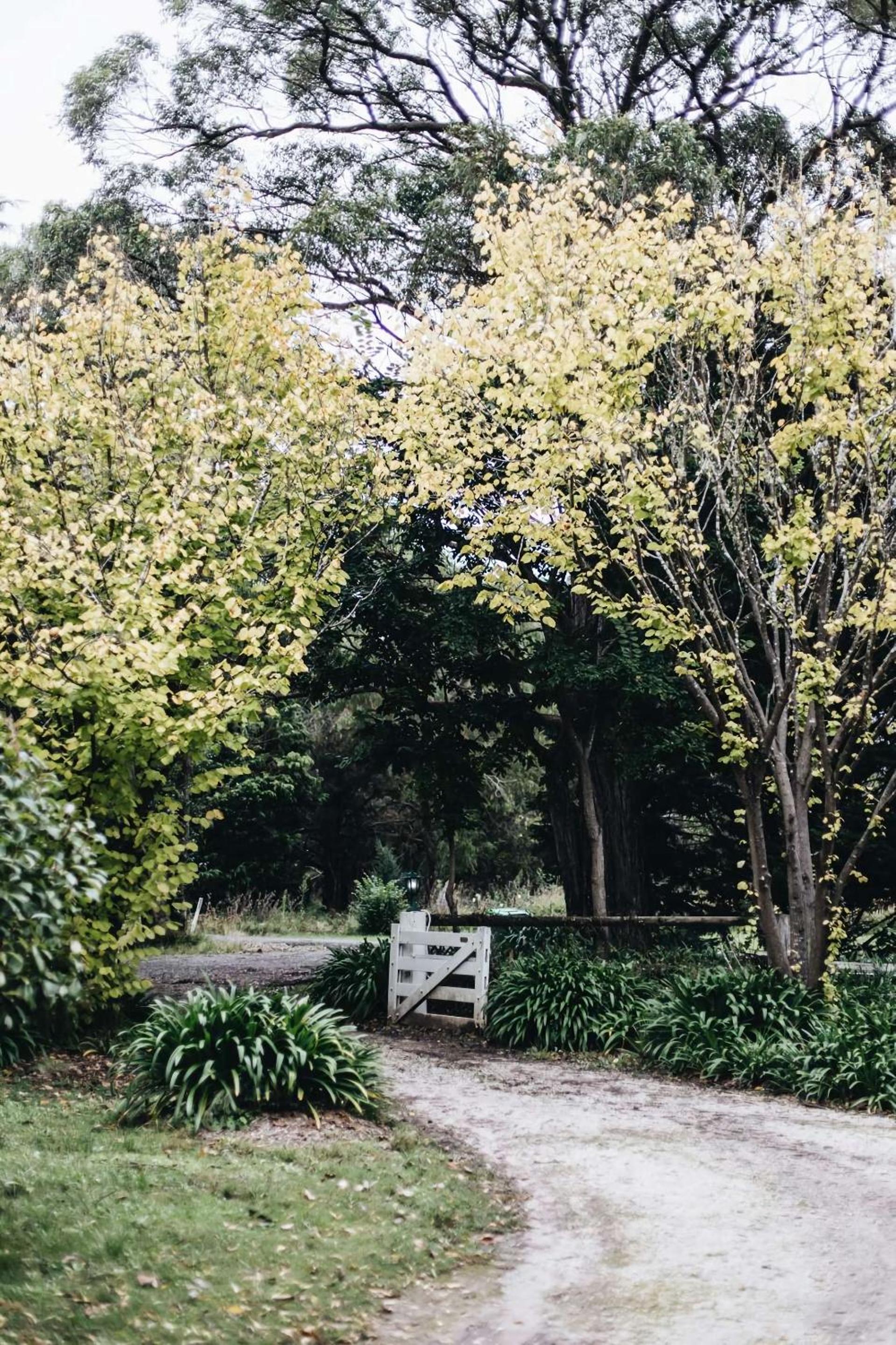 Coromandel Lodge, Berrima