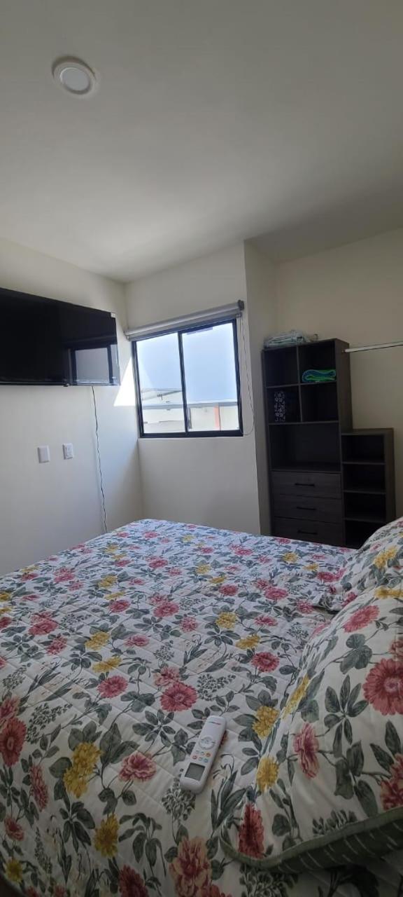 Residencial hortus view 5