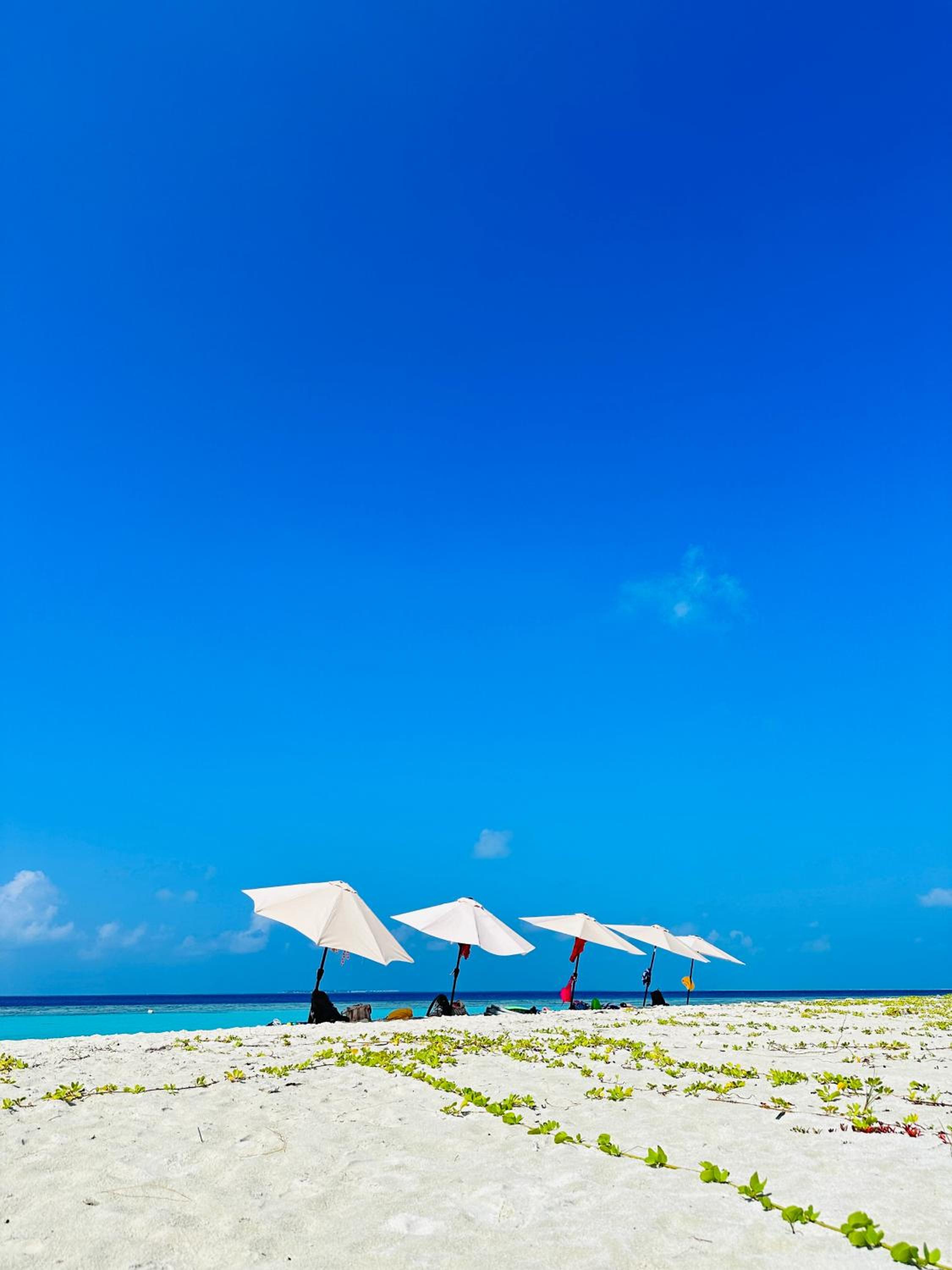 Gaafaru B&B photo 5