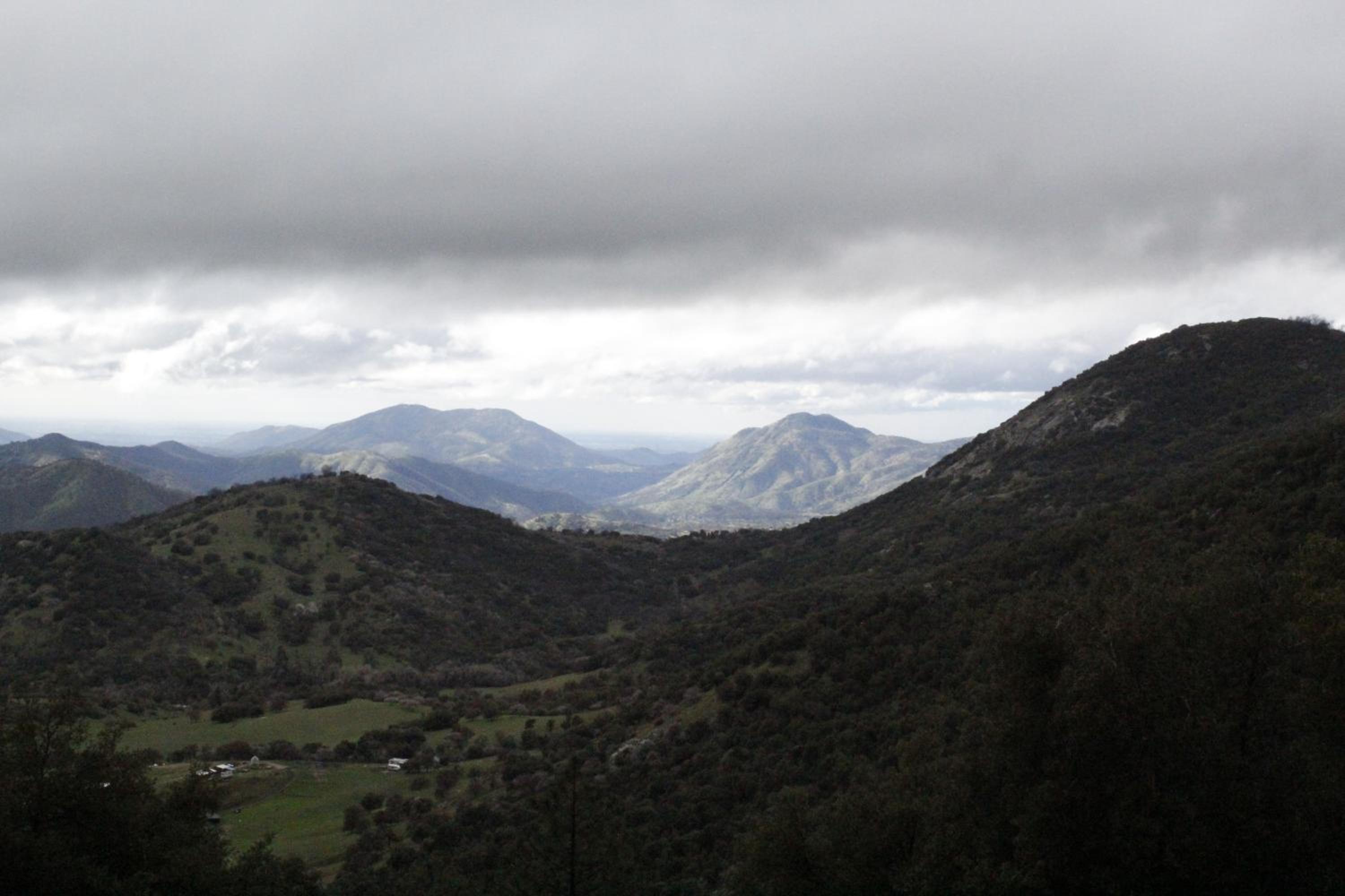 Photo 46