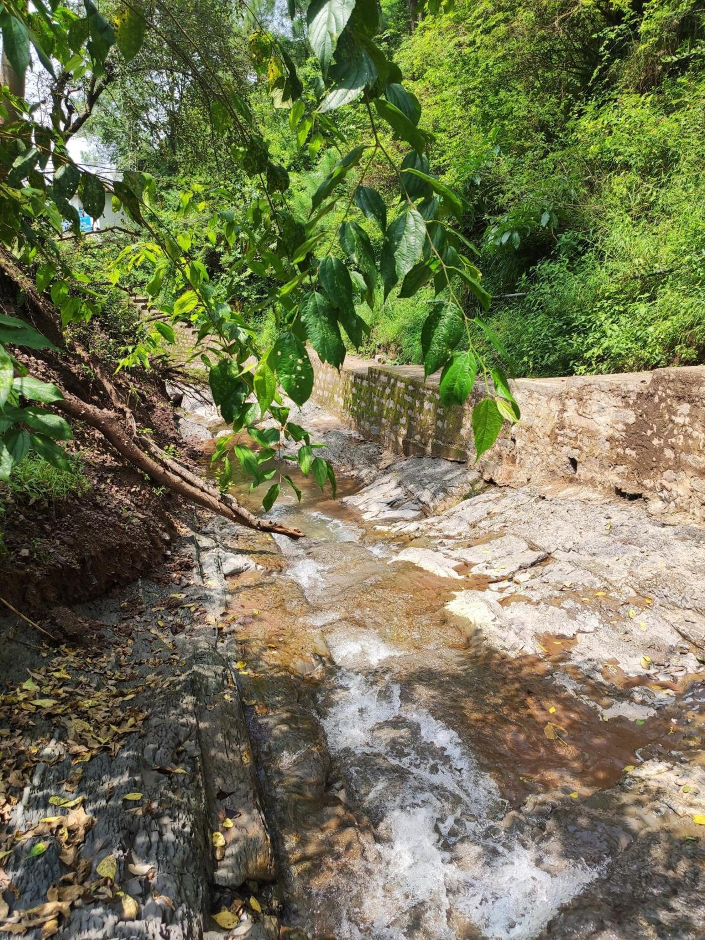 Tranquil Trails Stay