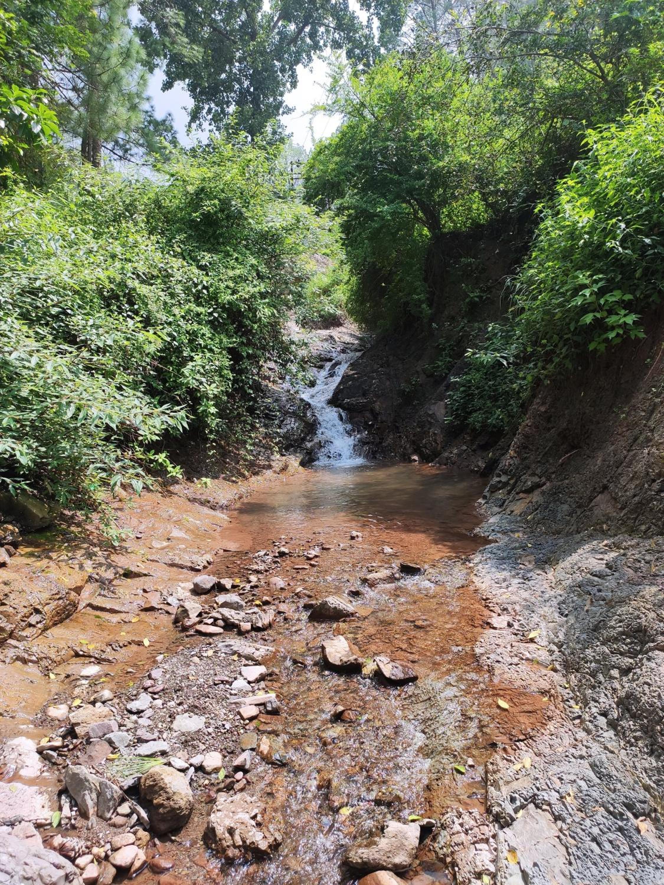 Tranquil Trails Stay