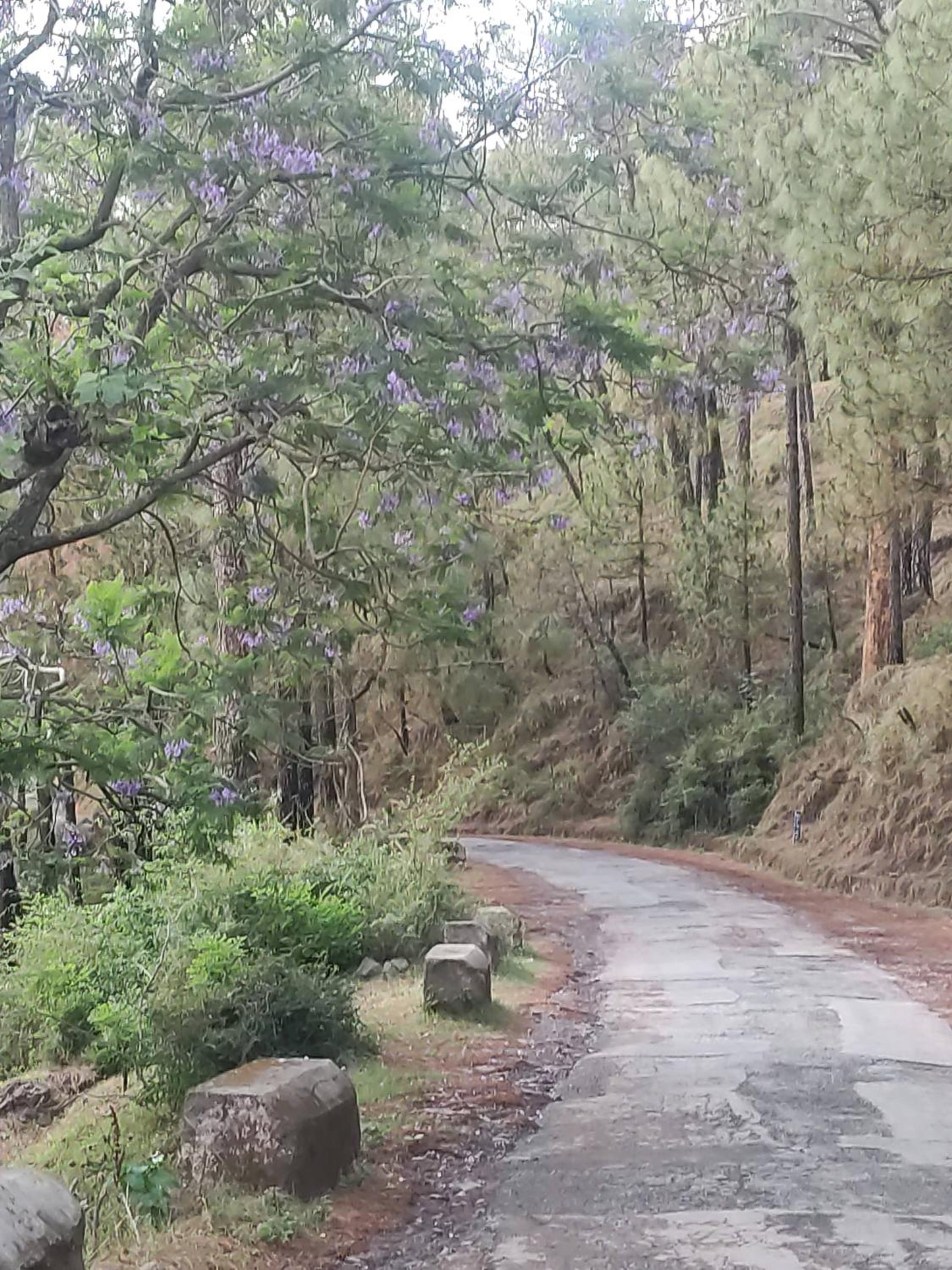 Tranquil Trails Stay