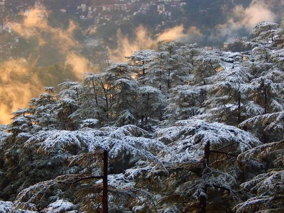 Tranquil Trails Stay