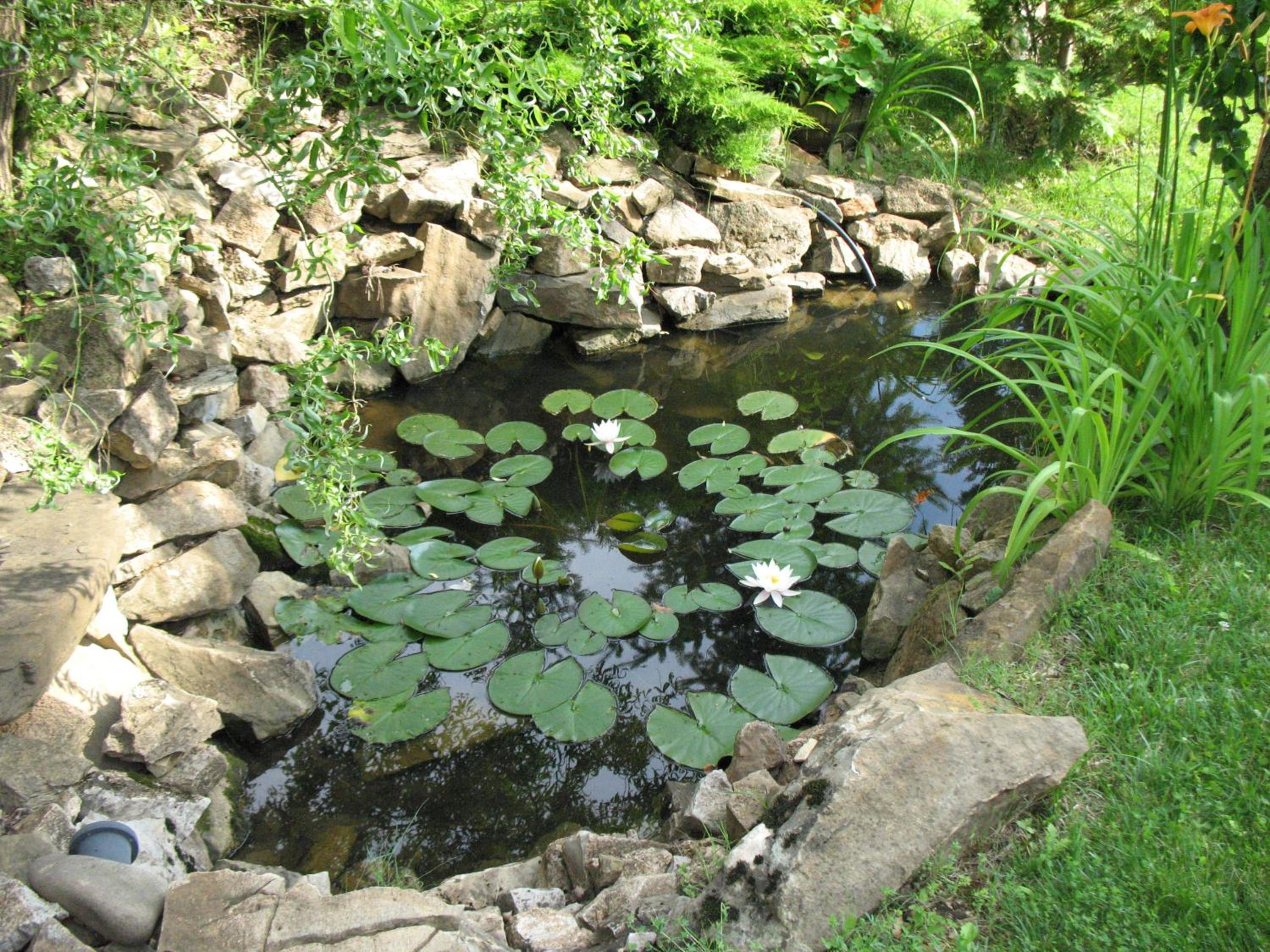 Guest House Slivek