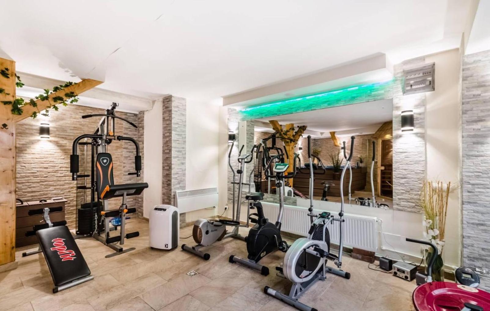 Hotel Pensiunea Cristina & SPA - Image 1