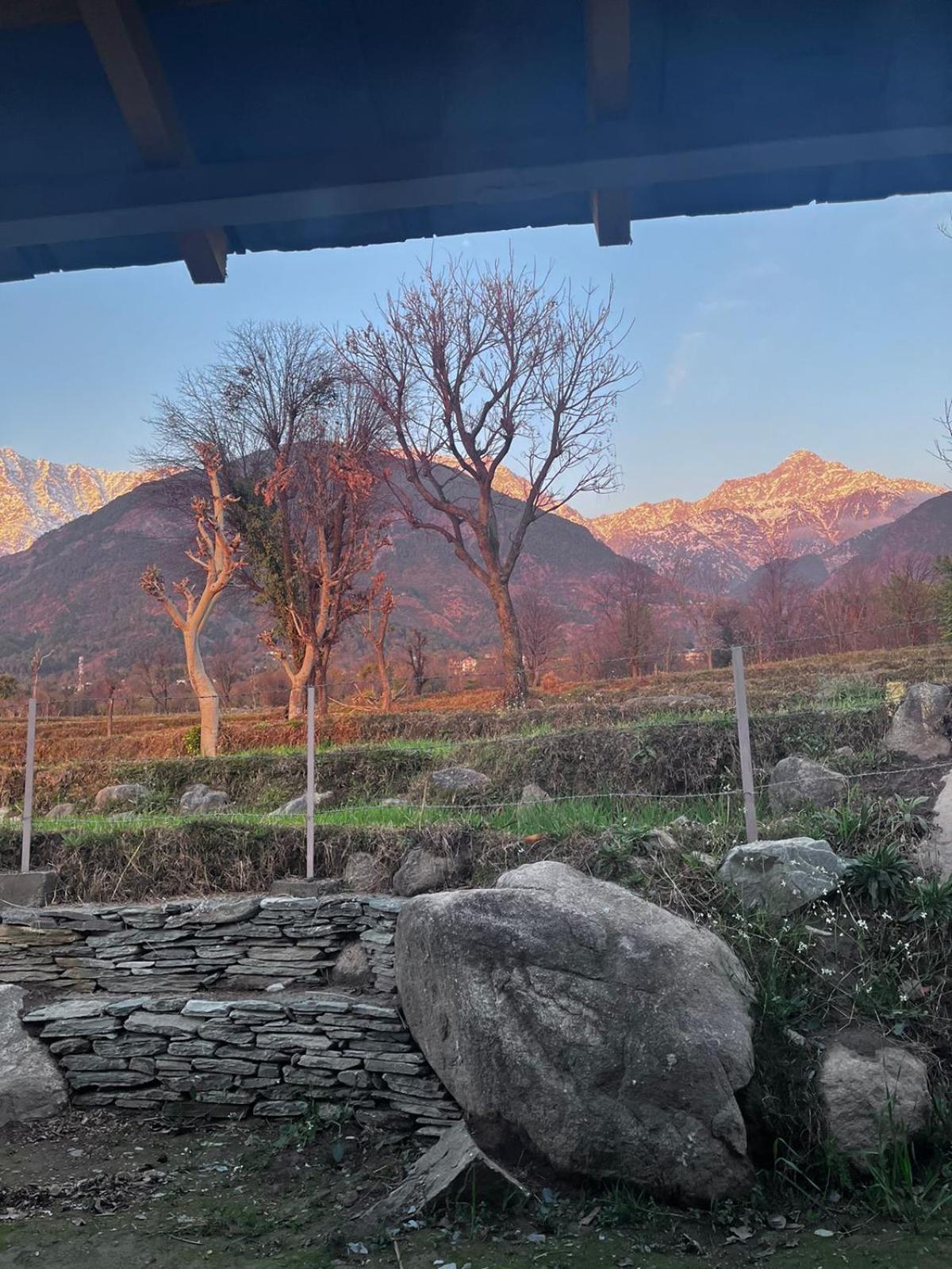 Pala Dharamshala - Mountain Cottage view 5