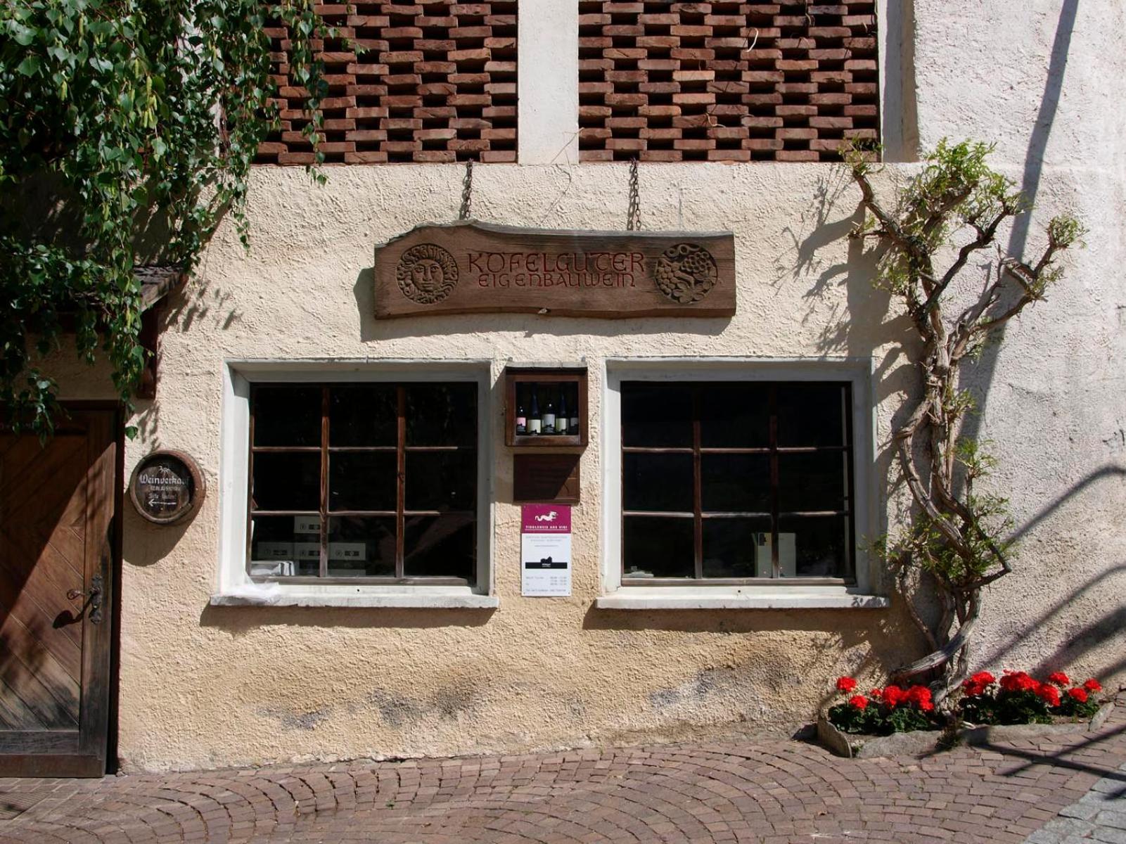 Weingut Köfelgut - Turris Vini view 5