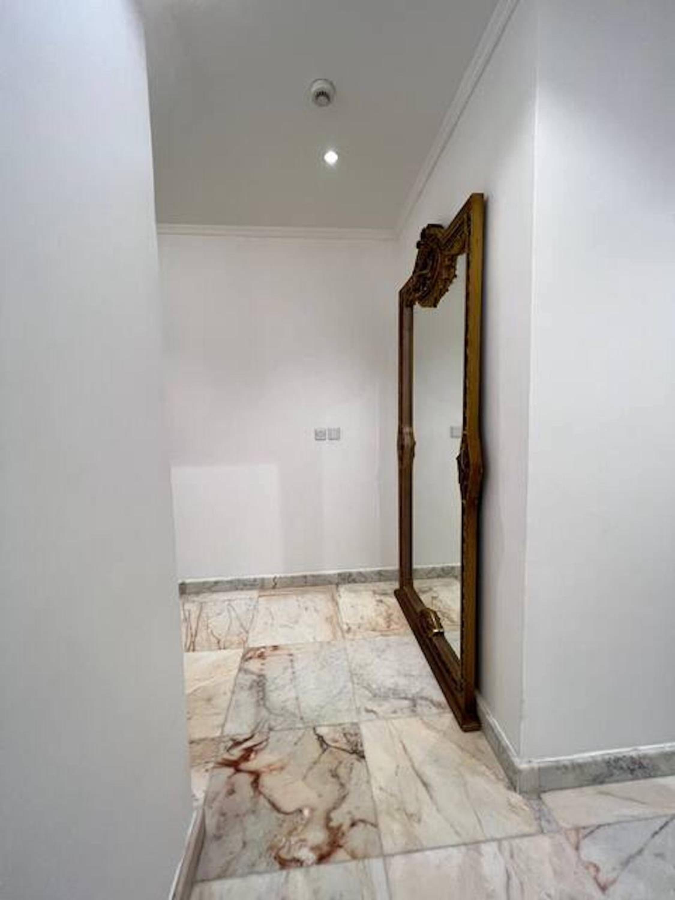 Luxurious Apartment view 5