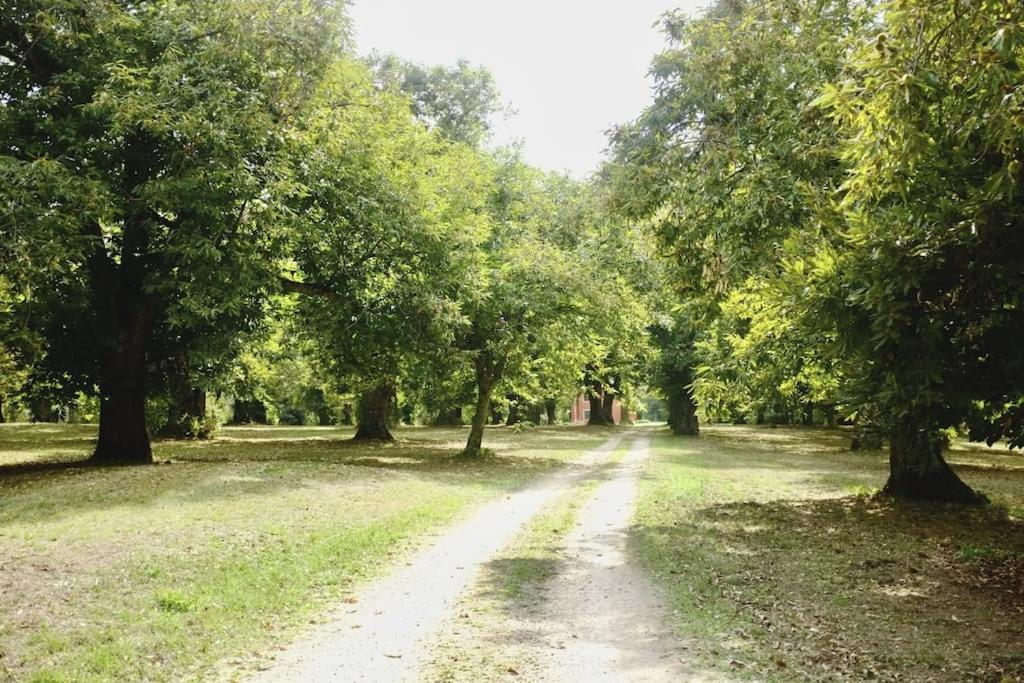 Casale Pomodoro