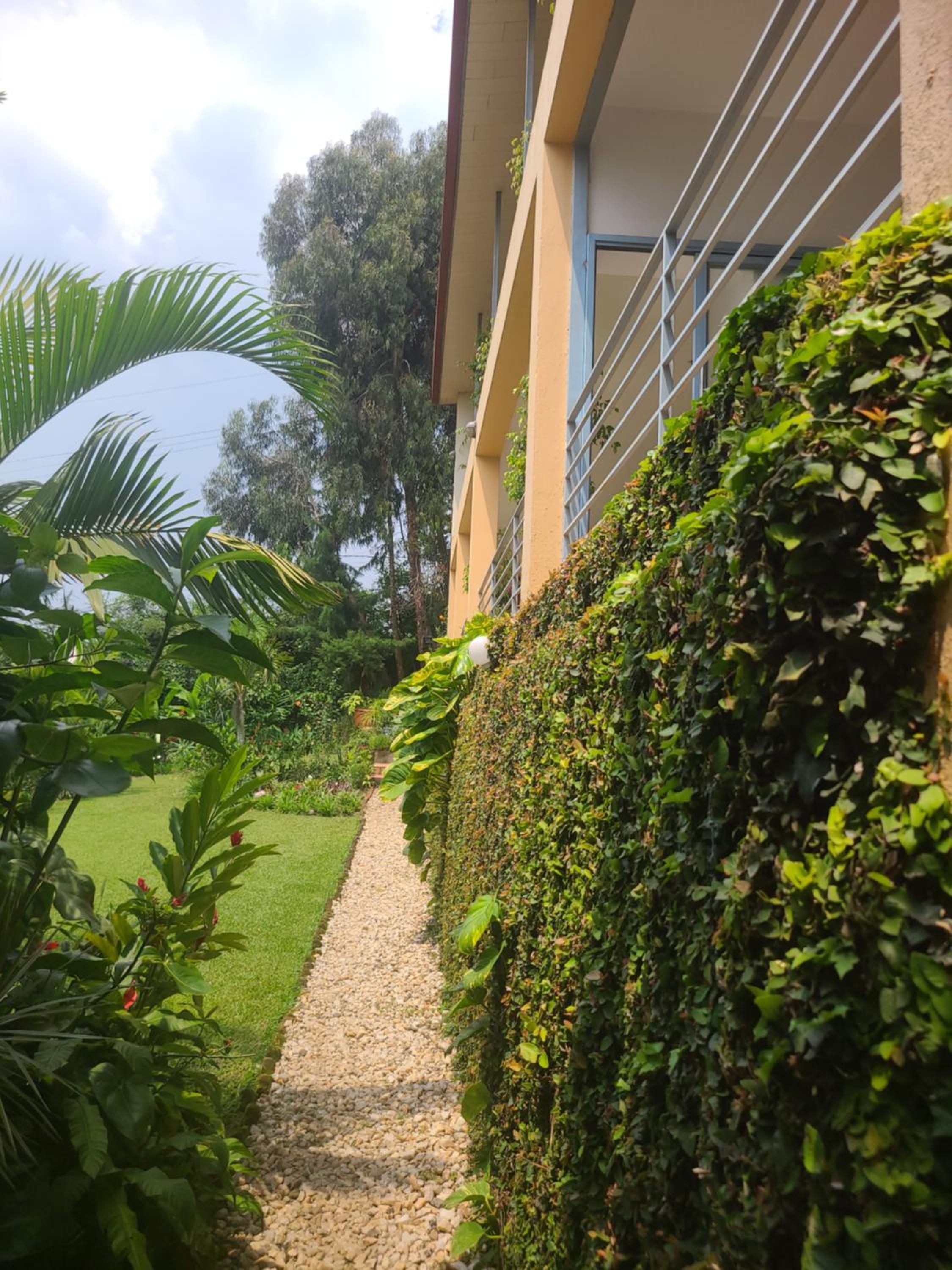 Rubavu Buy And Sell Ltd, real estate agency view 5