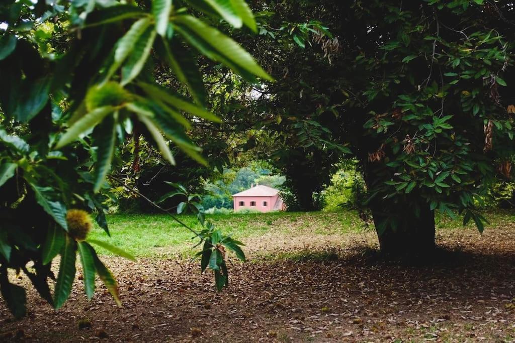 Villa Flavia view 3