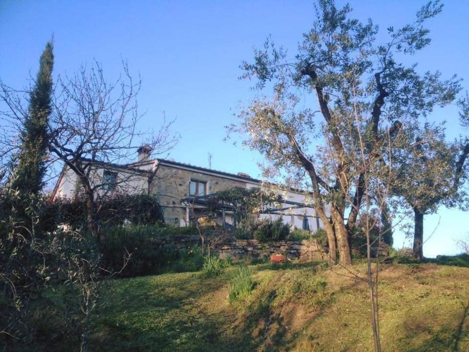 Agriturismo Menghino