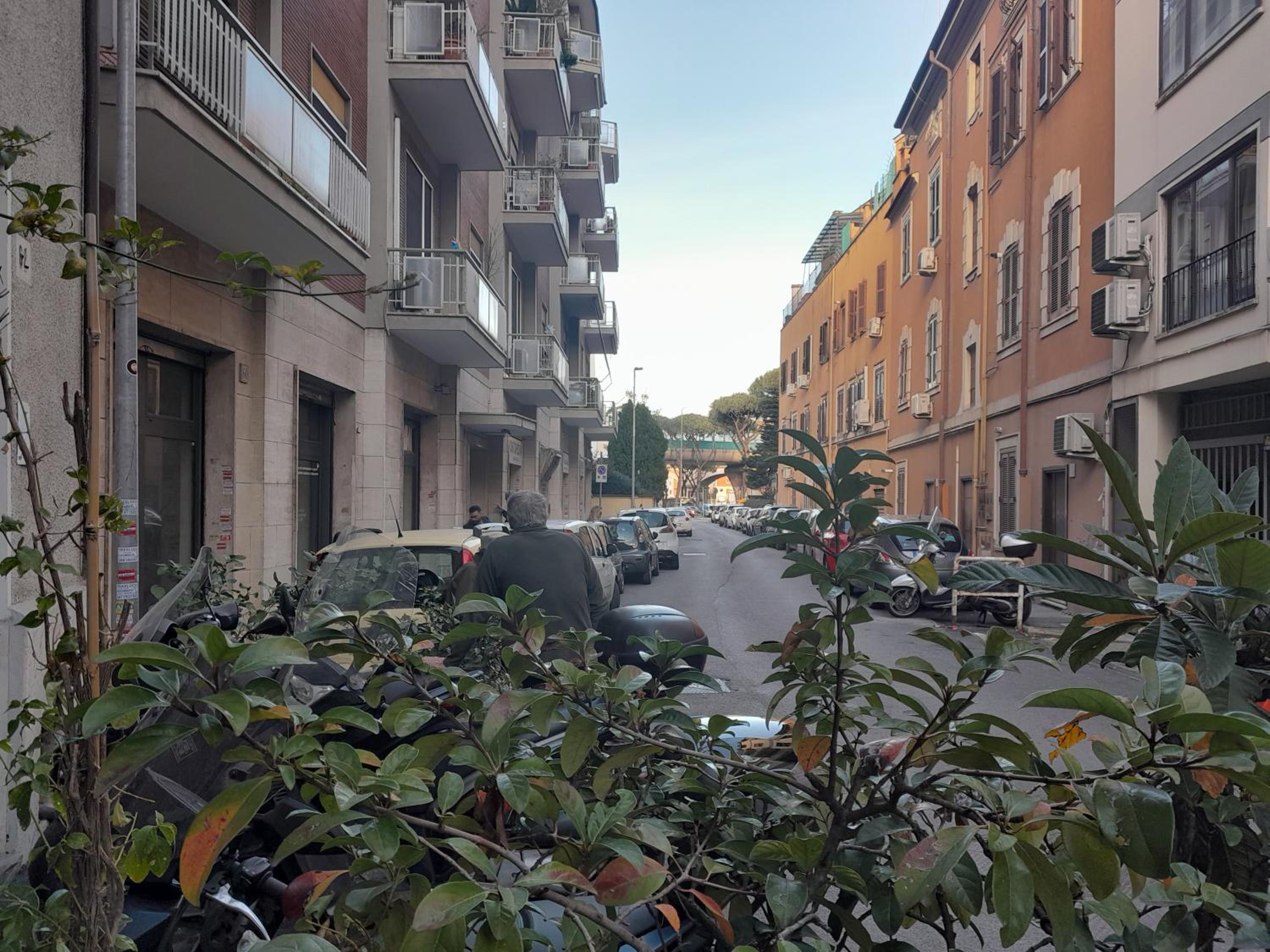 DOMUS GELSOMINO