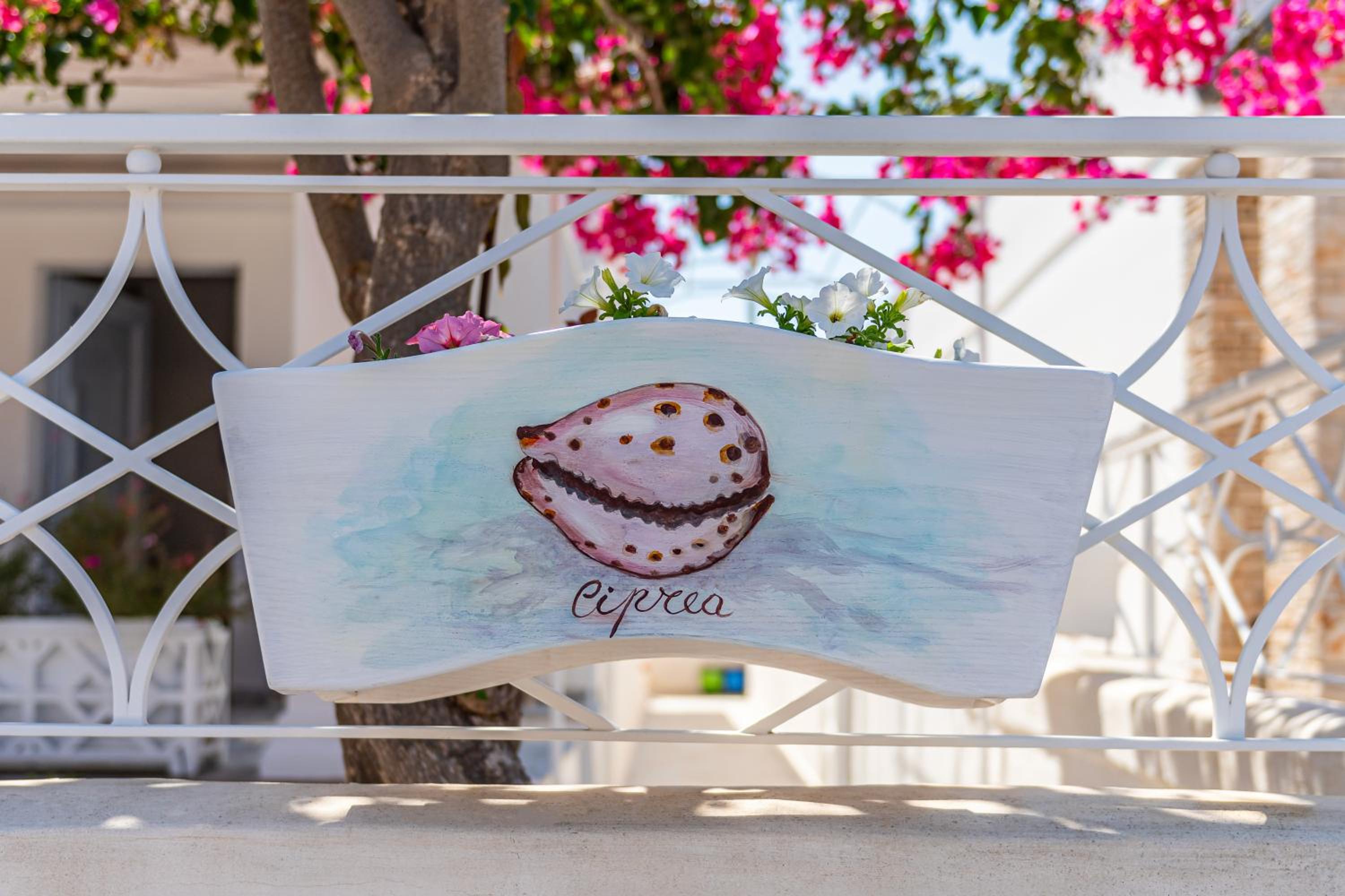 Terrazza e Conchiglie