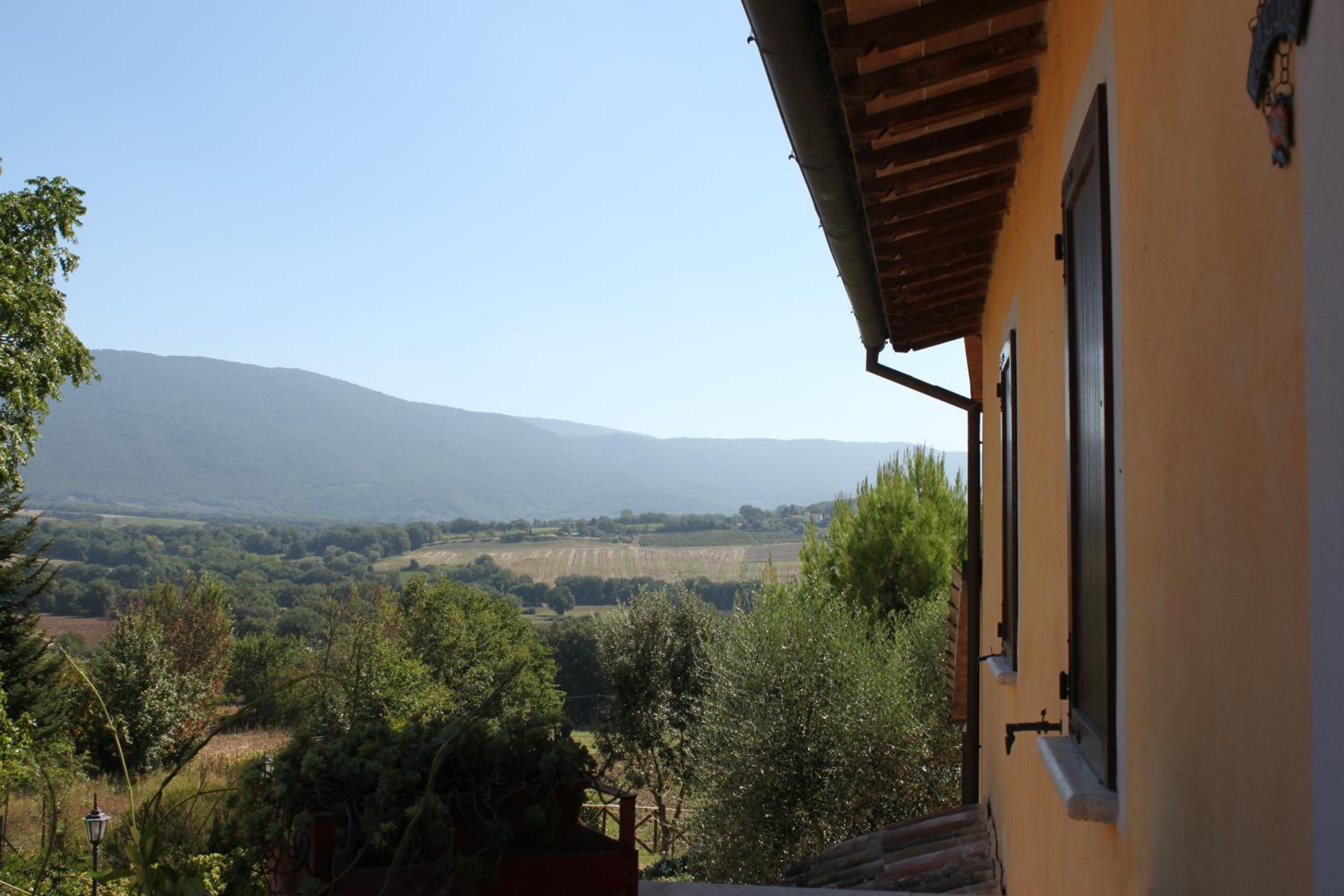 Photo 42