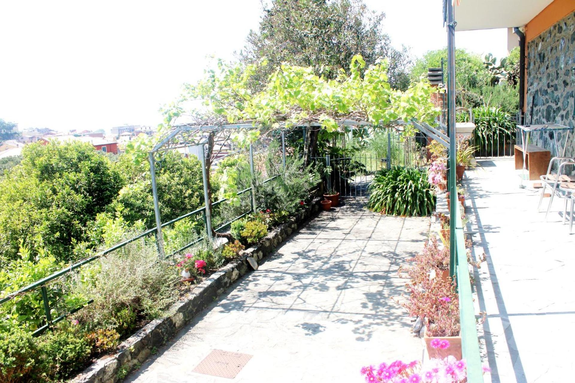 Primario view 4