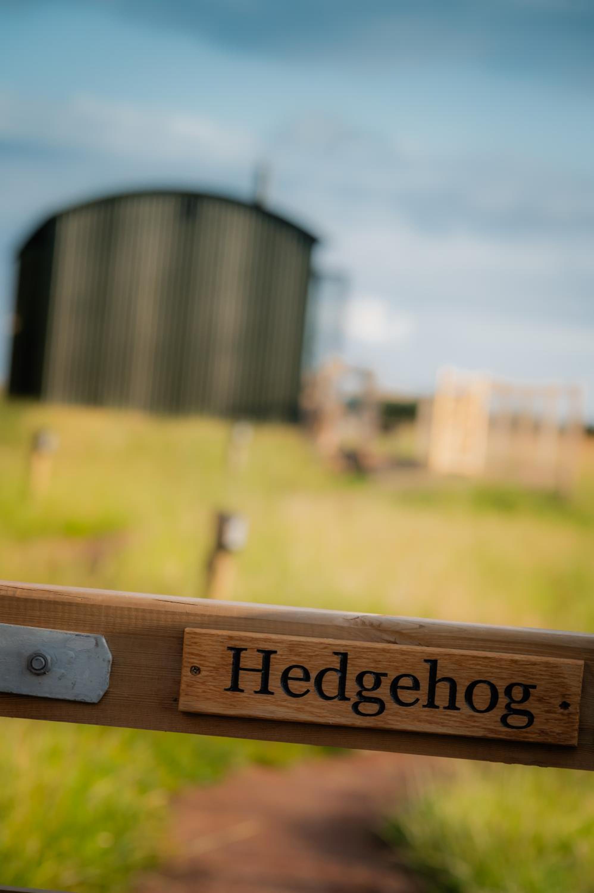 Gooseberry Shepherds Hut