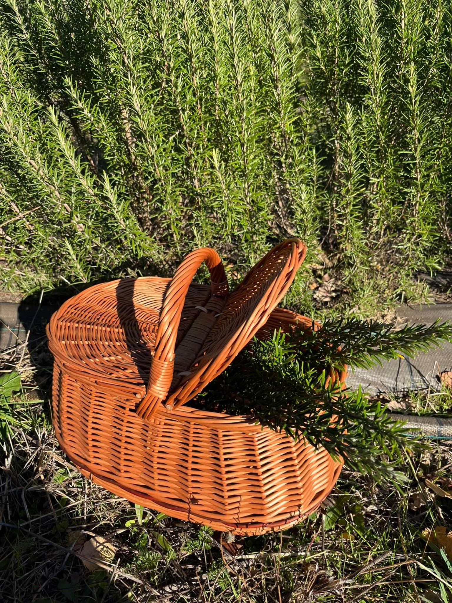 Bio Agriturismo Alba Etrusca di Cortona - Organic Farmhouse- Appartamento Lavanda-Appartamento Rosmarino - vasca idromassaggio esterna da maggio ad ottobre photo 5