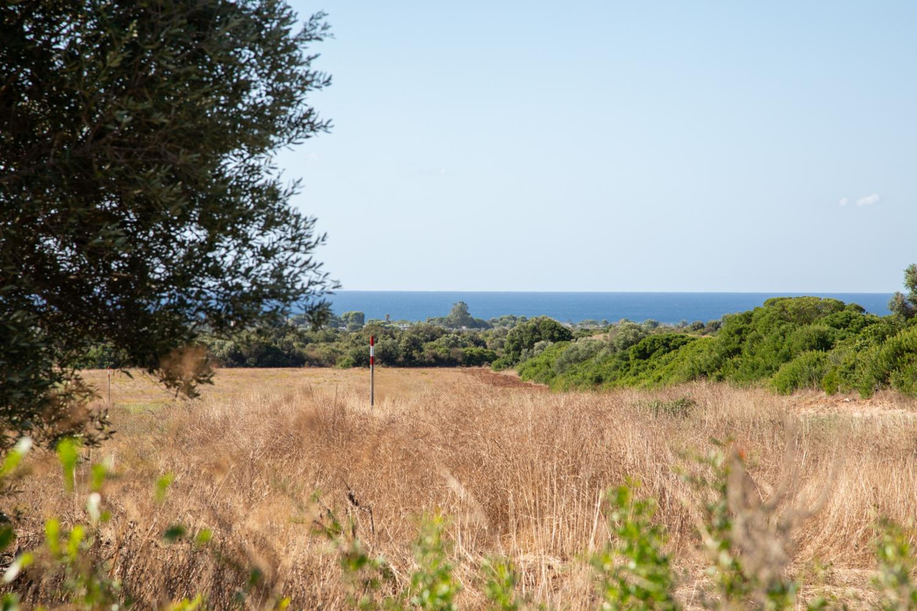 MASSERIA SCALEDDA view 4