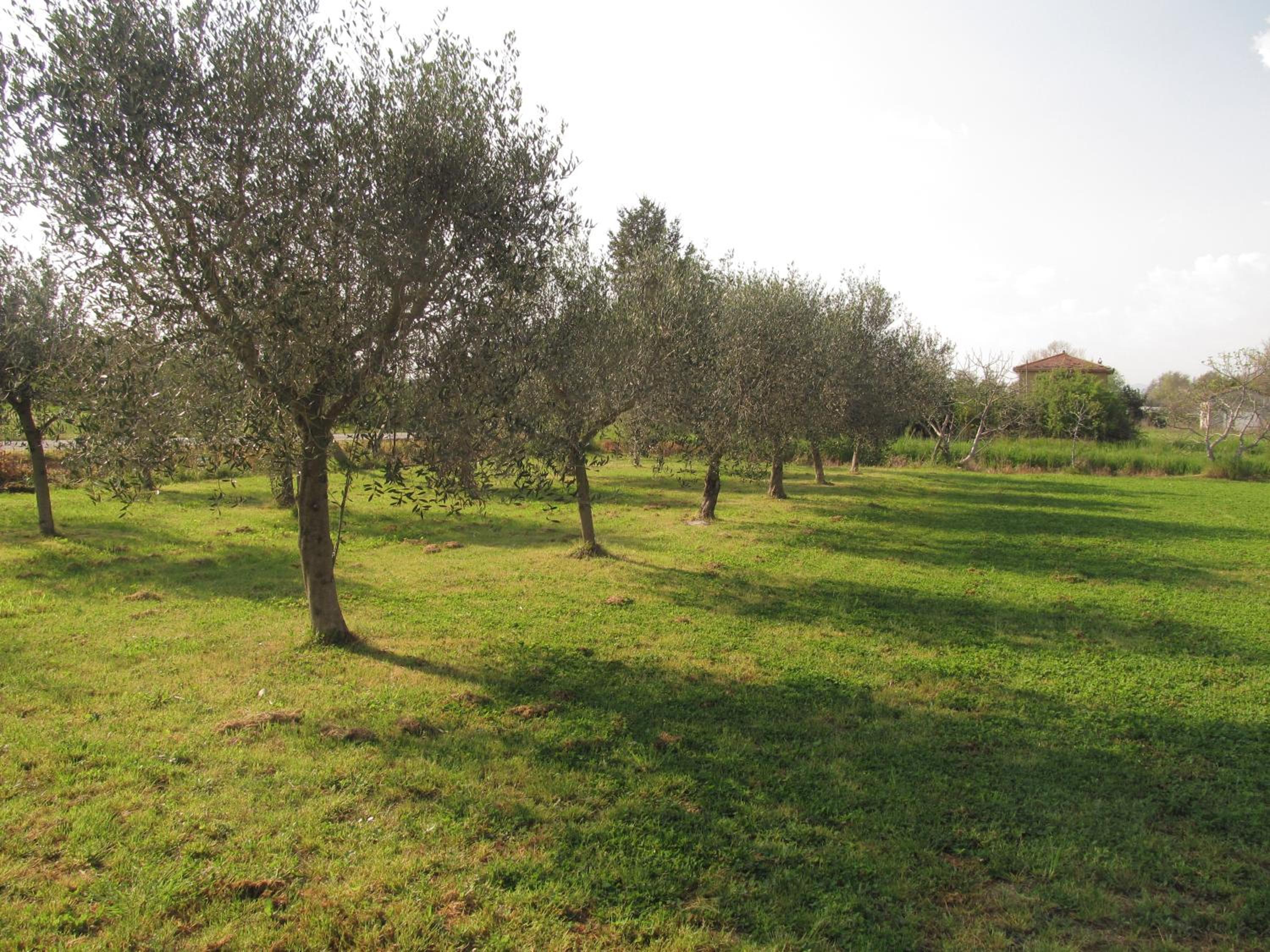 Casale Margherita