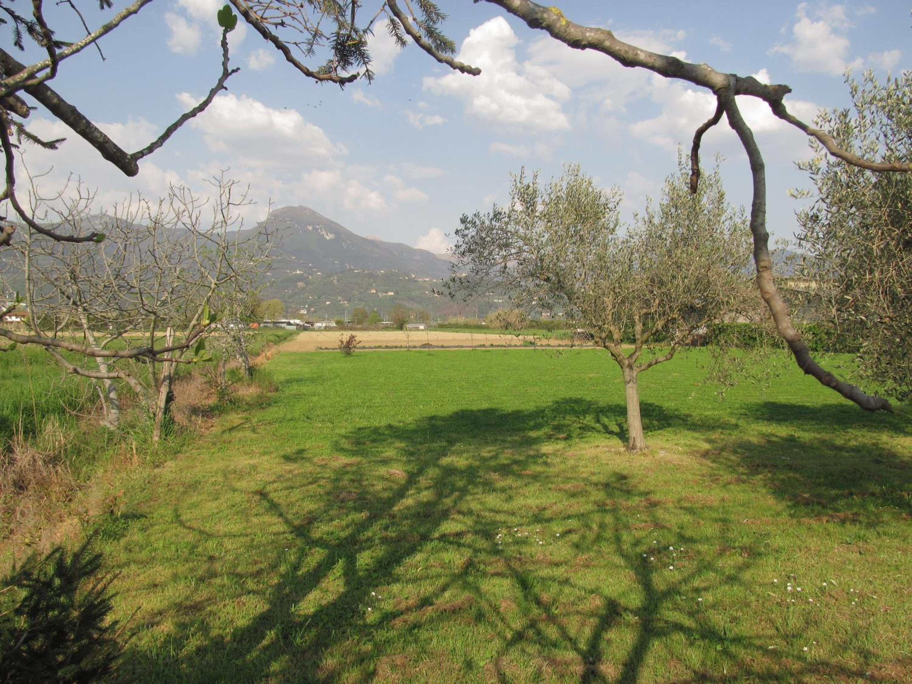Casale Margherita