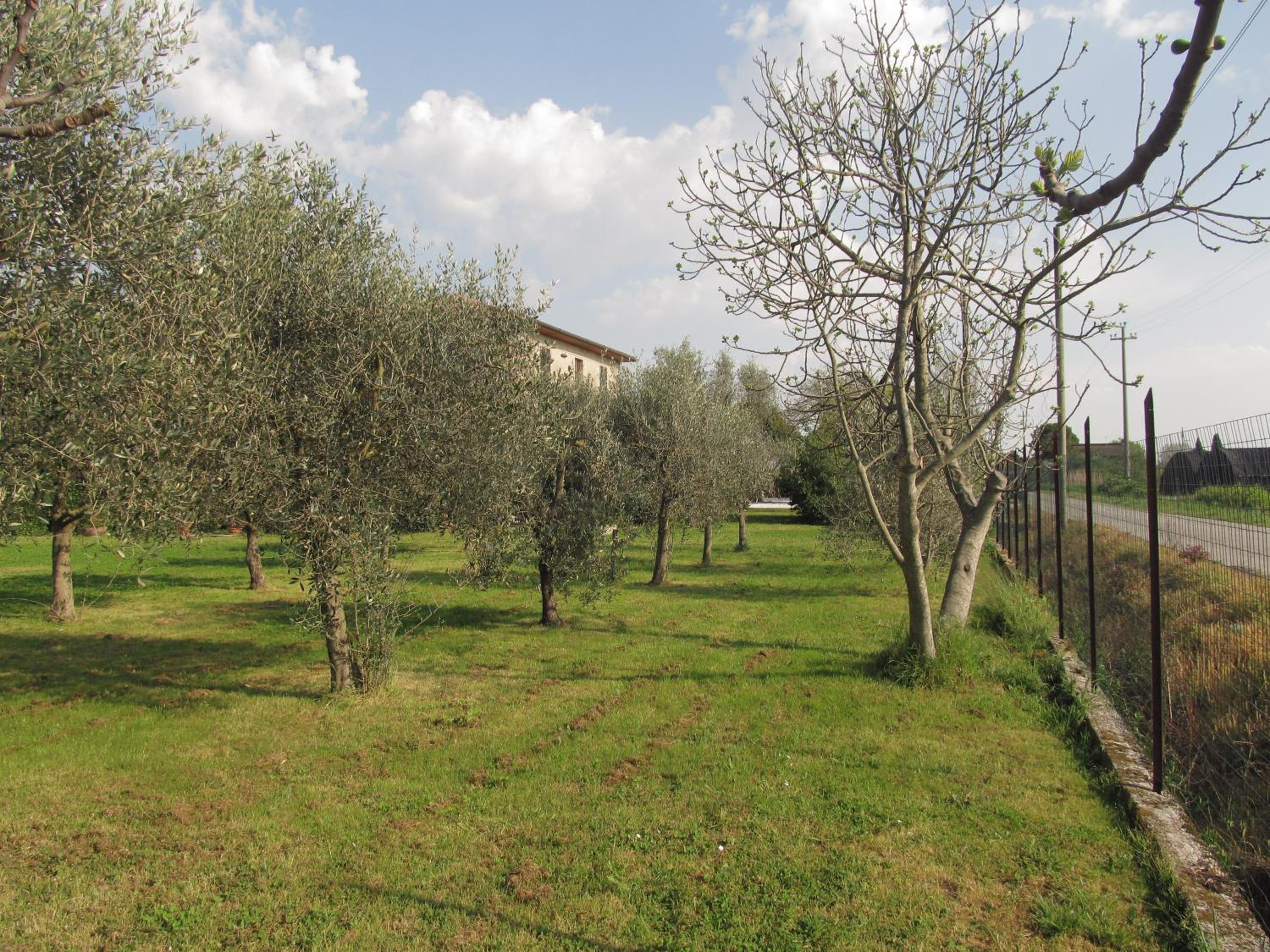 Casale Margherita