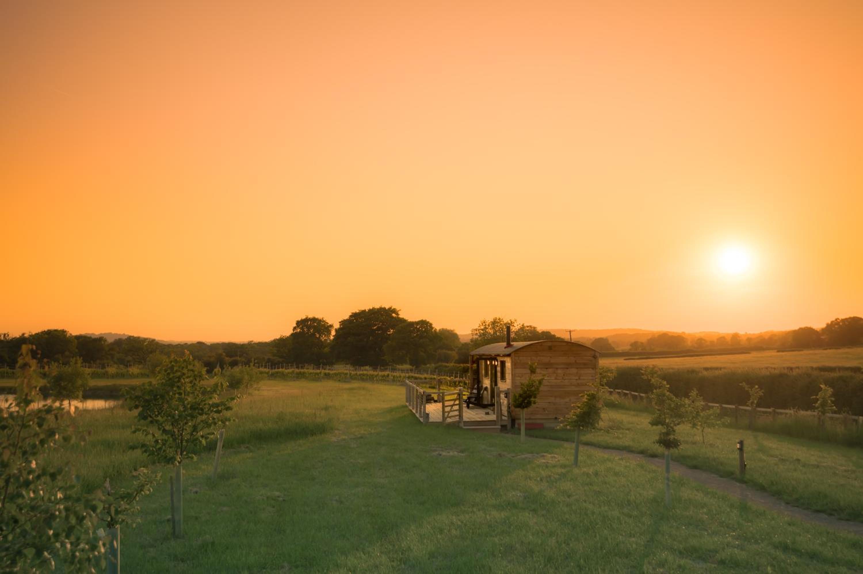 Gooseberry Shepherds Hut