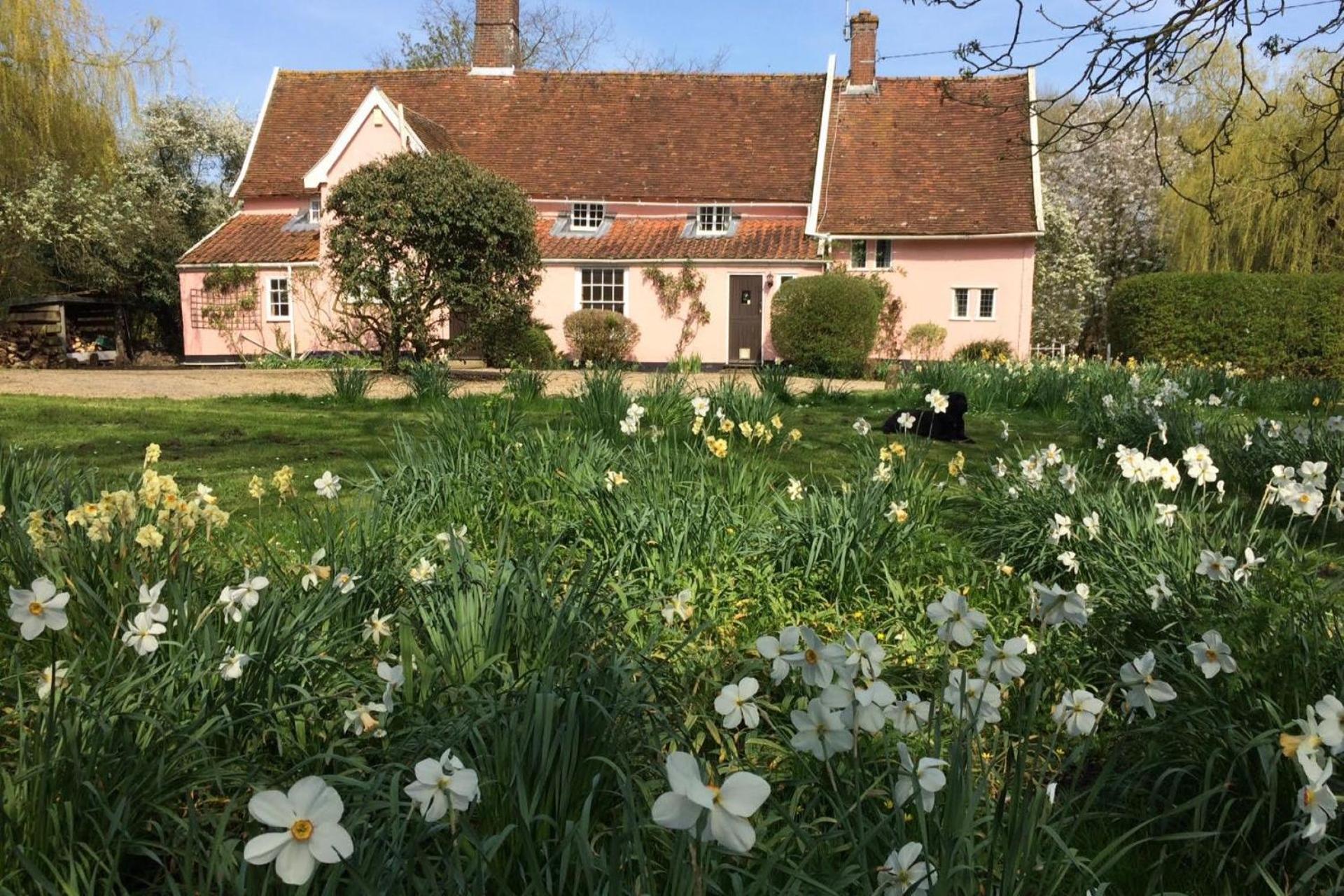 Toad Hall view 5