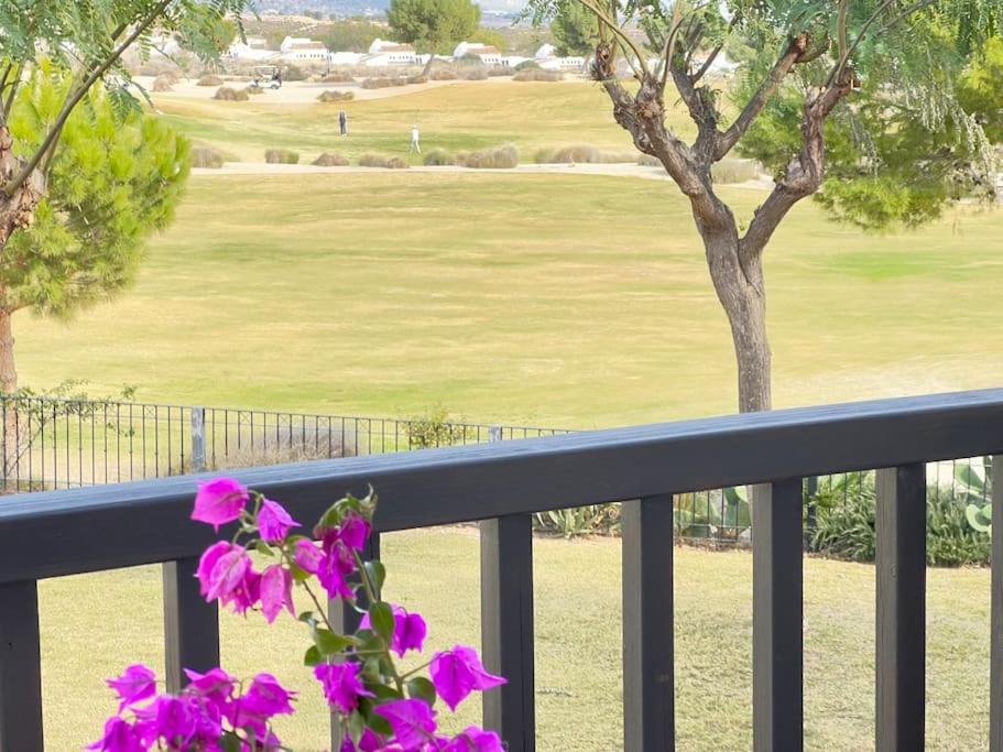 Apt Diamante El Valle Golf