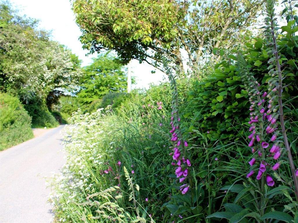 Talland Croft