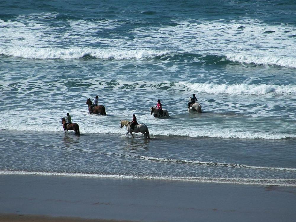 Photo 41