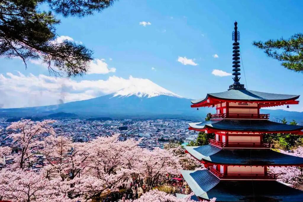 兜家-KabutoYa- view 3