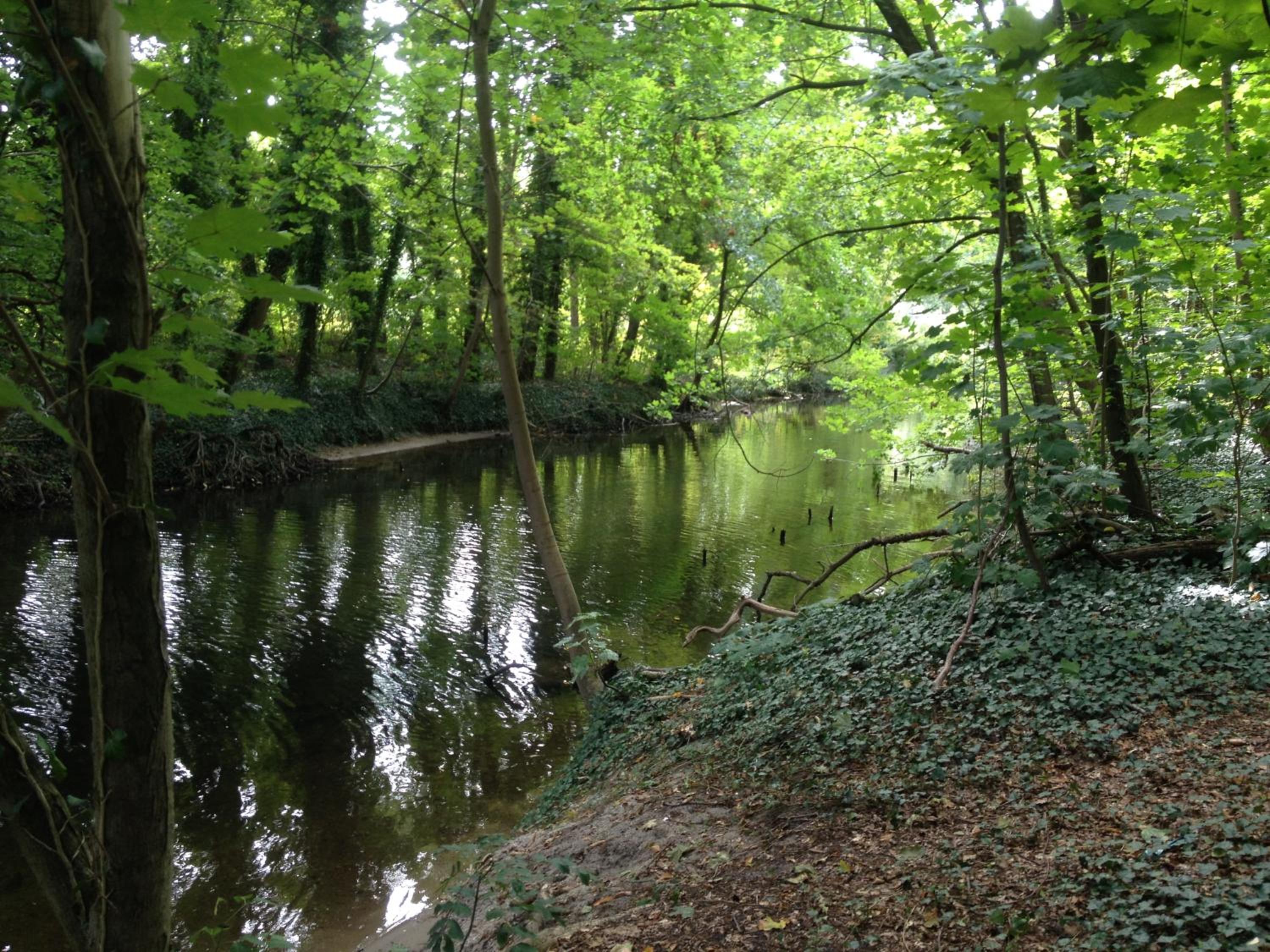 Photo 14