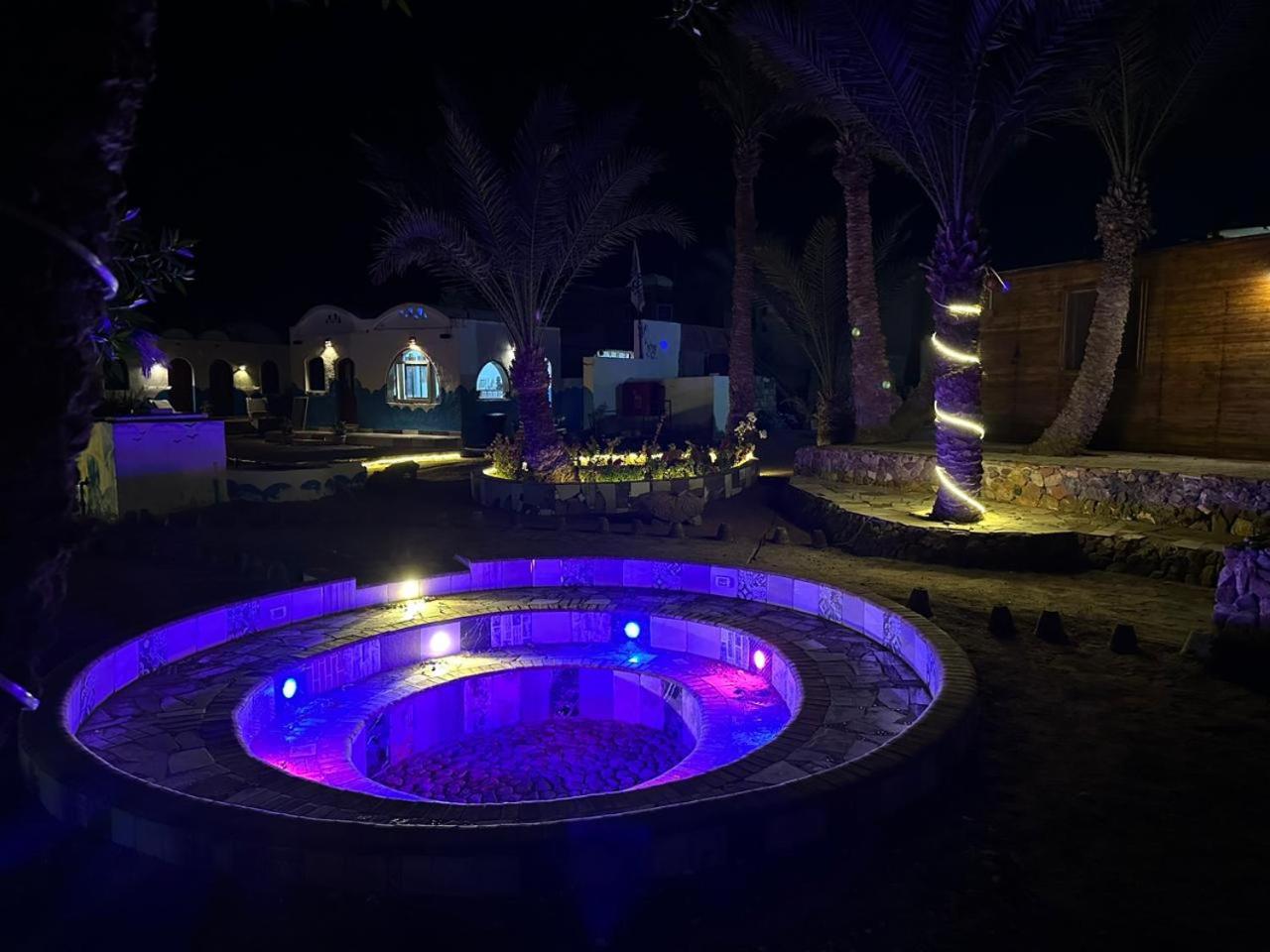 Dolphin Camp - Image 3
