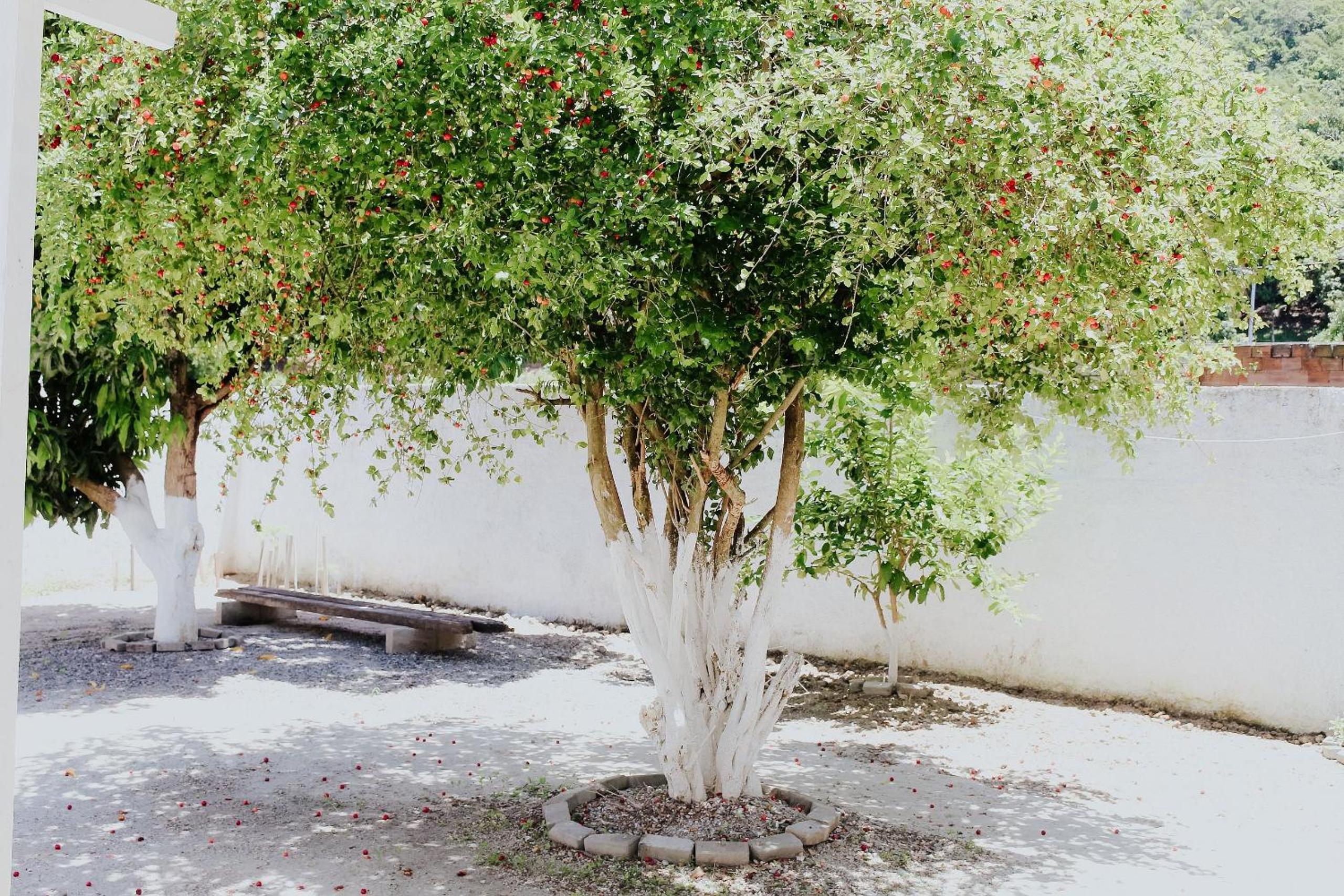 Cantinho do Cunta