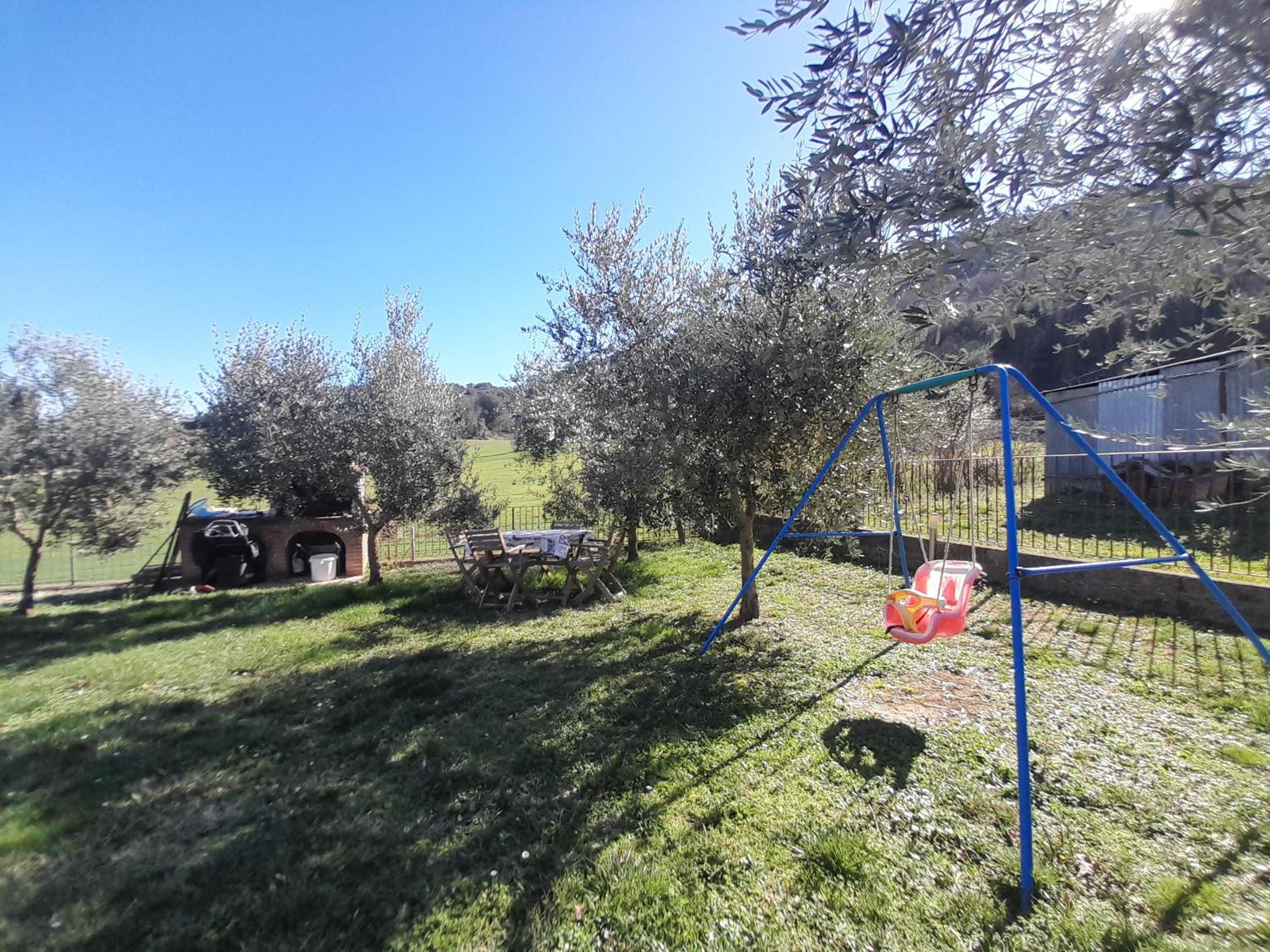 Photo 24