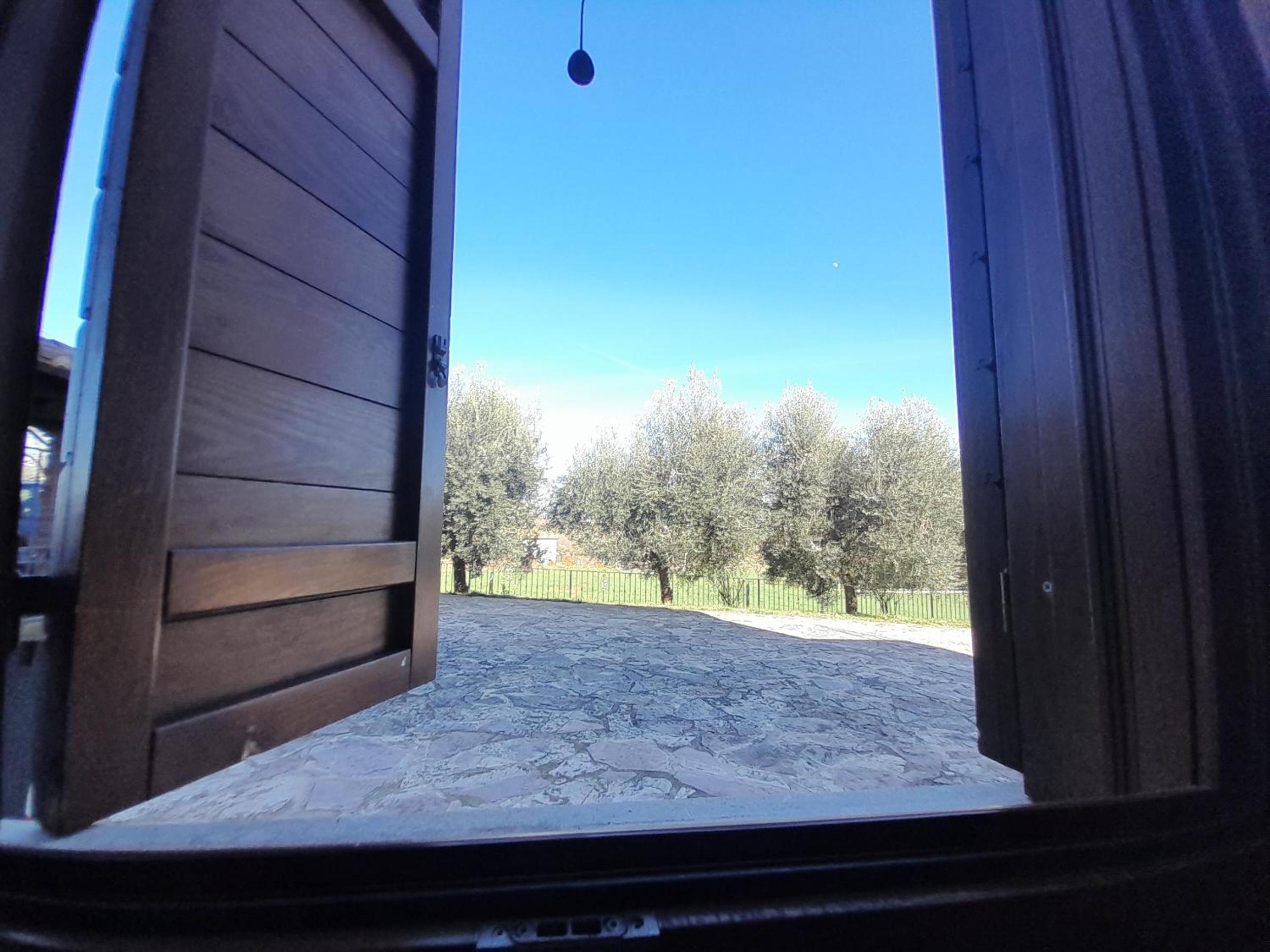 Photo 41