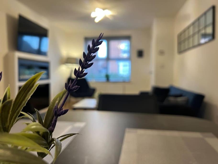 Loughborough Vacations - Braid House - Property Image 5