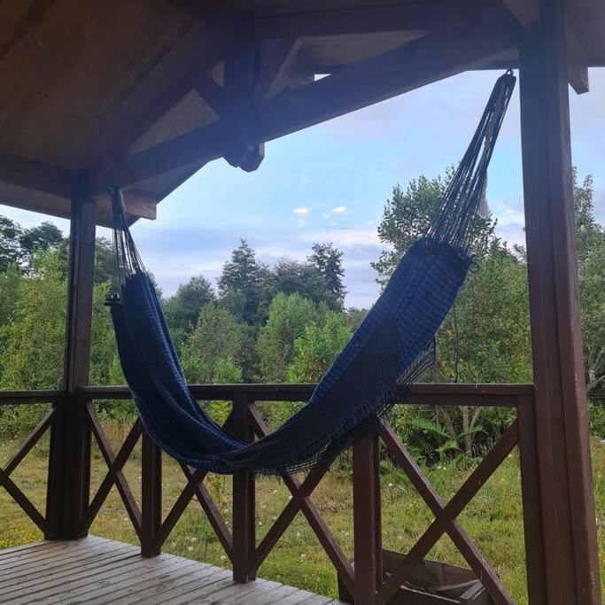 Cabaña hermoso bosque nativo Puerto Varas