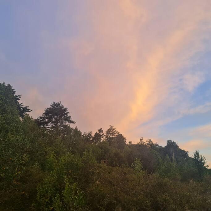 Cabaña hermoso bosque nativo Puerto Varas