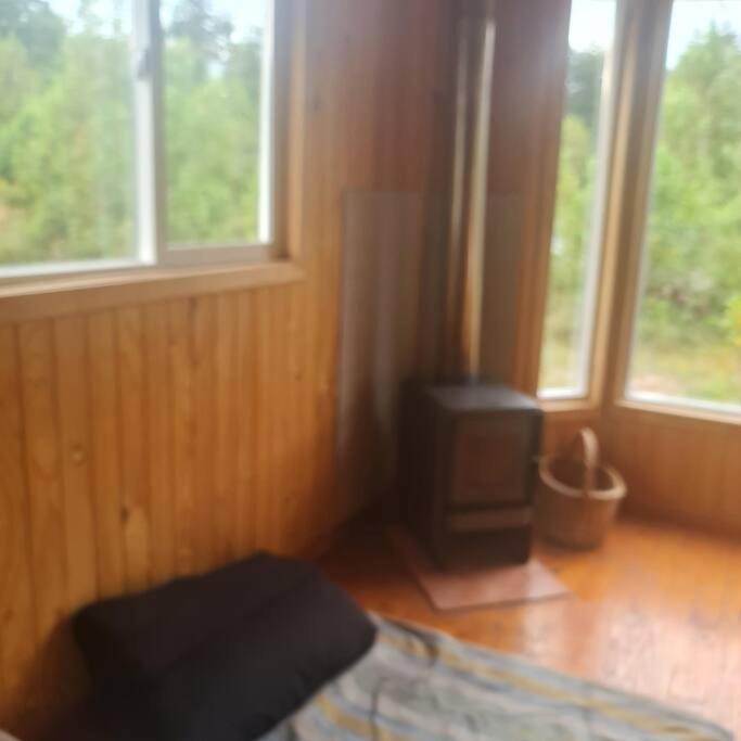 Cabaña hermoso bosque nativo Puerto Varas