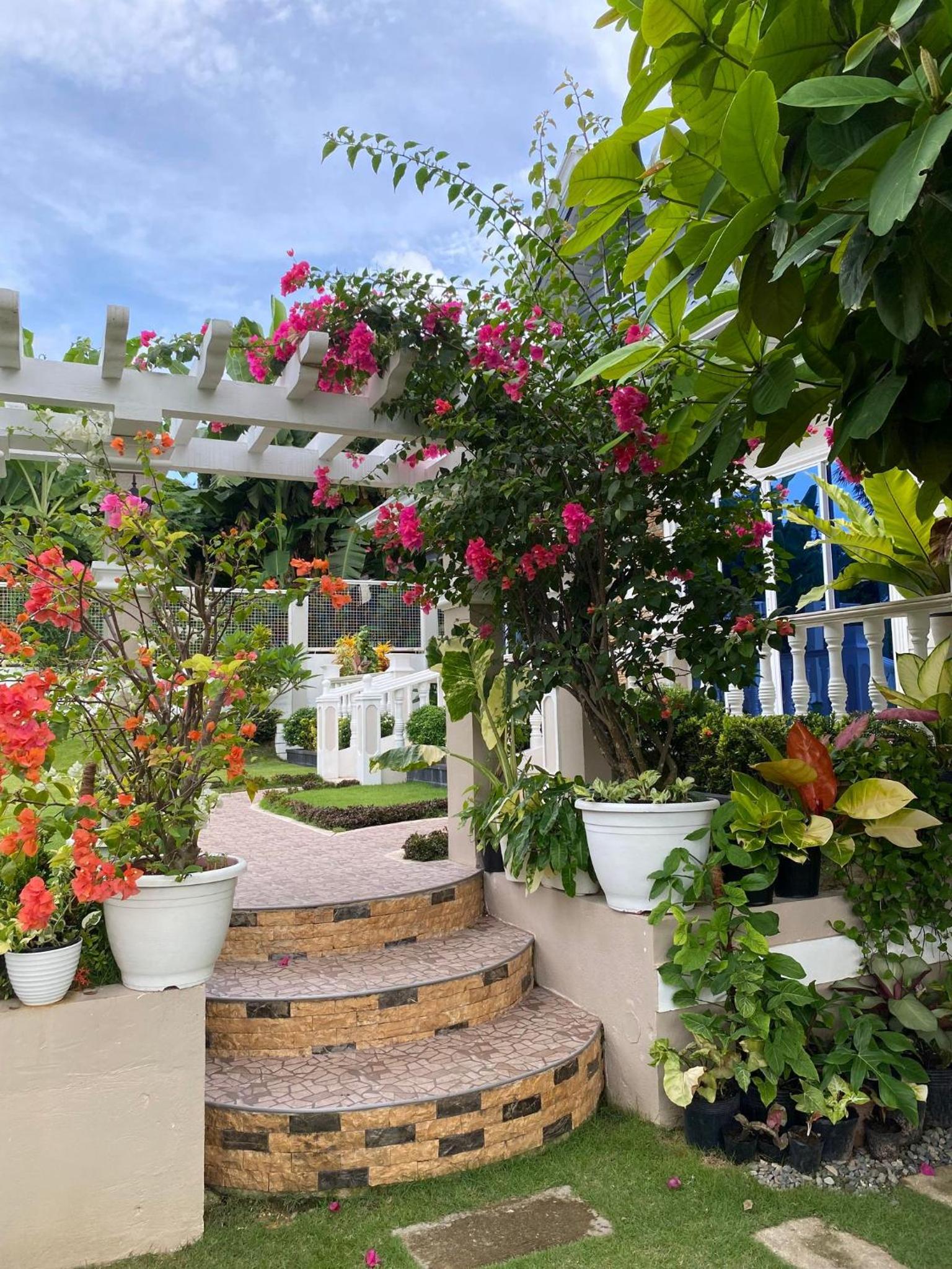 Sunshine's Haven