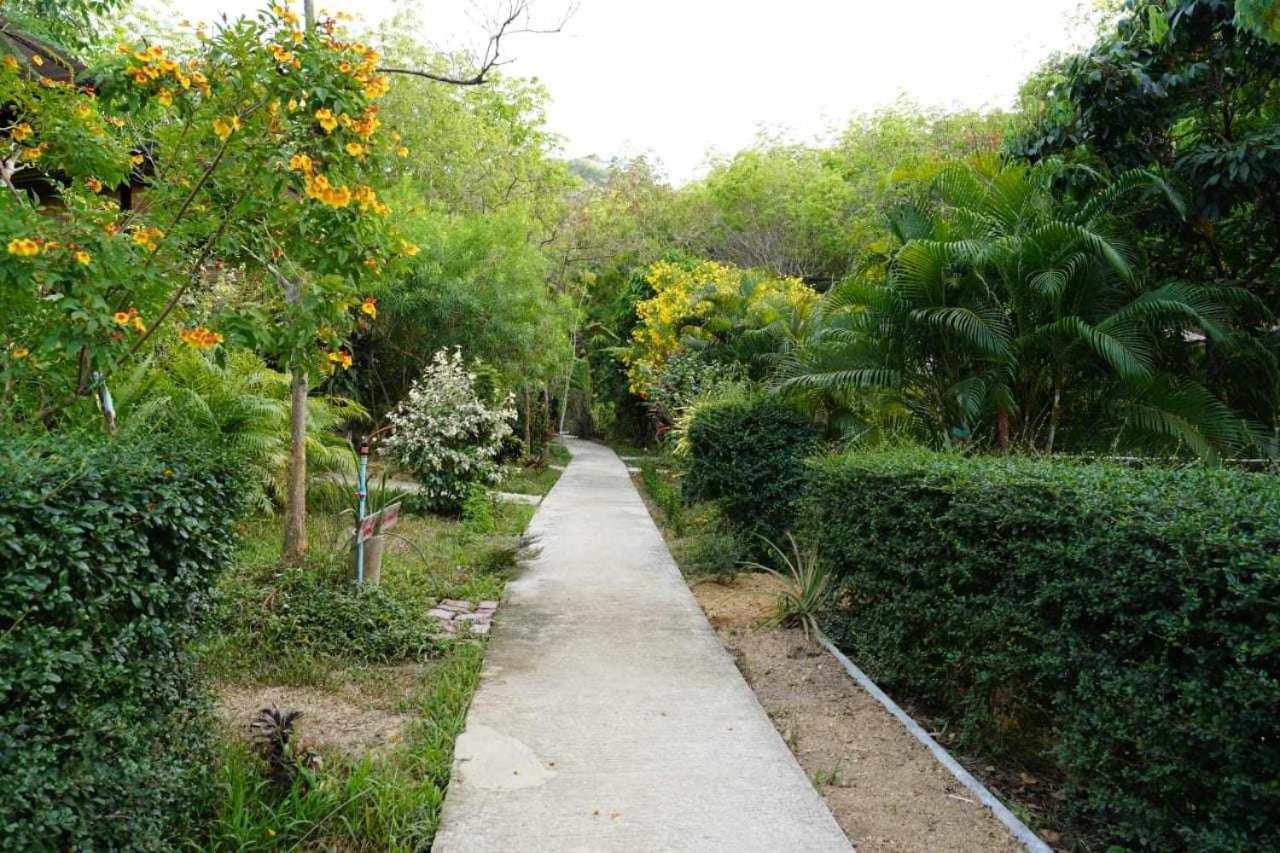 Photo 8